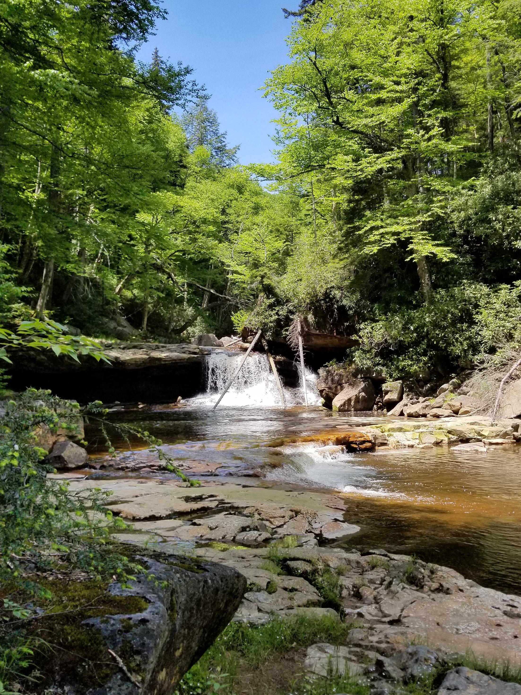 Red Creek in Dolly Sods Wilderness, West Virginia r/CampingandHiking