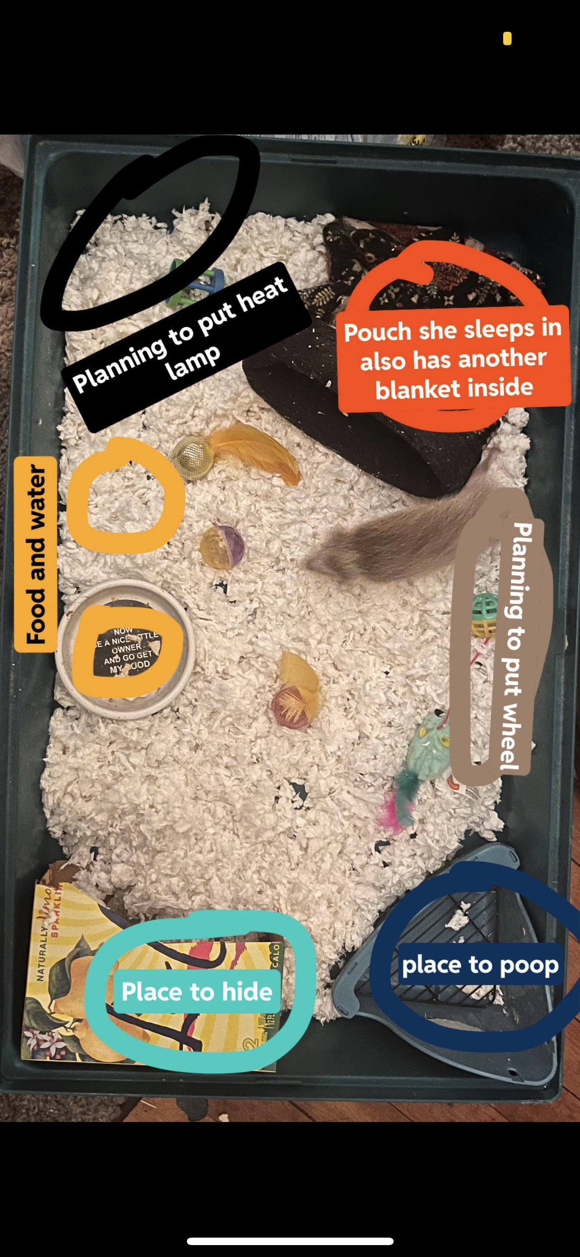 Is this a good set up? Her wheel just broke so I’m planning to get a