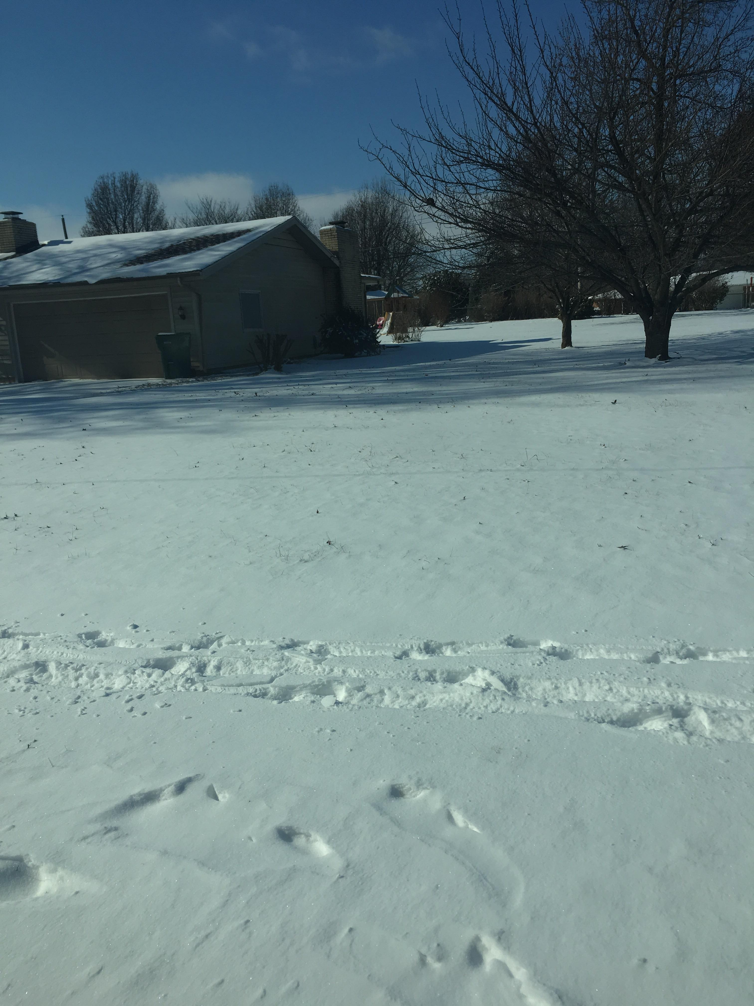 Totally untouched blanket of snow. r/oddlysatisfying