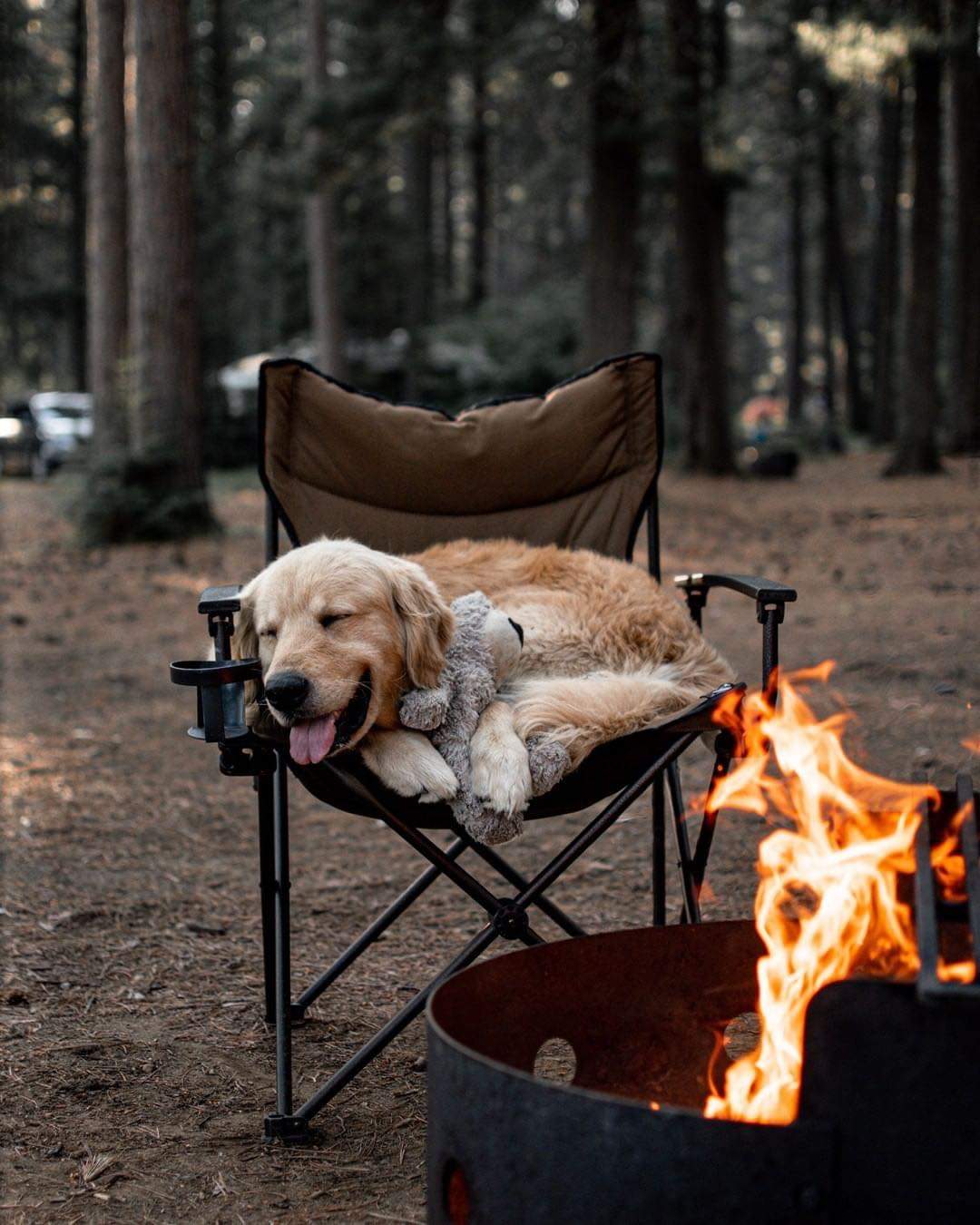 Nothing's better than a snuggle by the fire with a friend aww