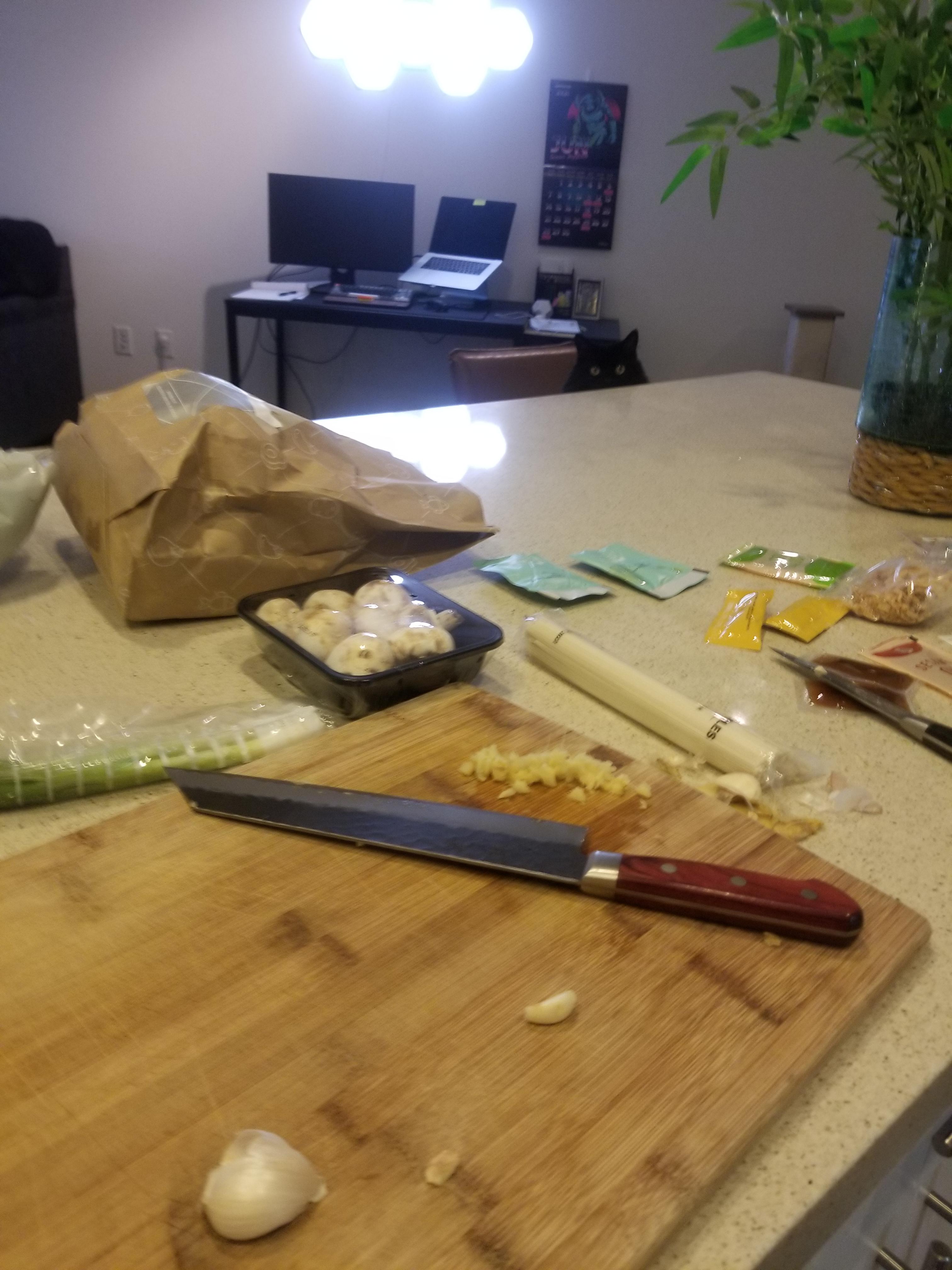 My Cat watches me cook r/PetsareAmazing