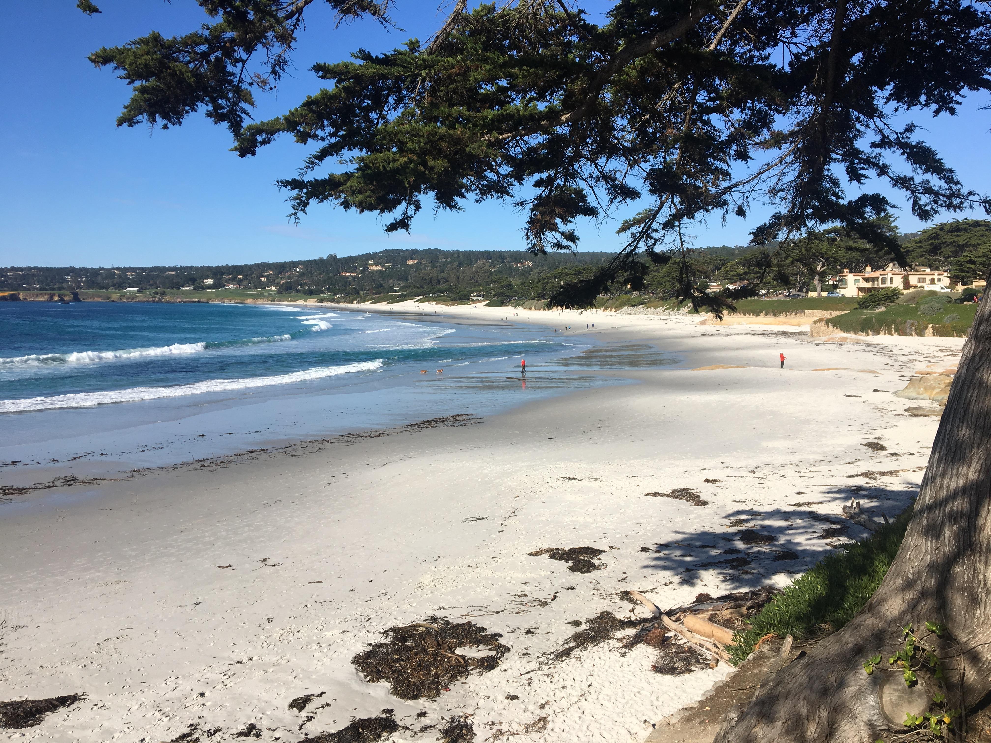 Carmel Beach, California r/CaliforniaPics