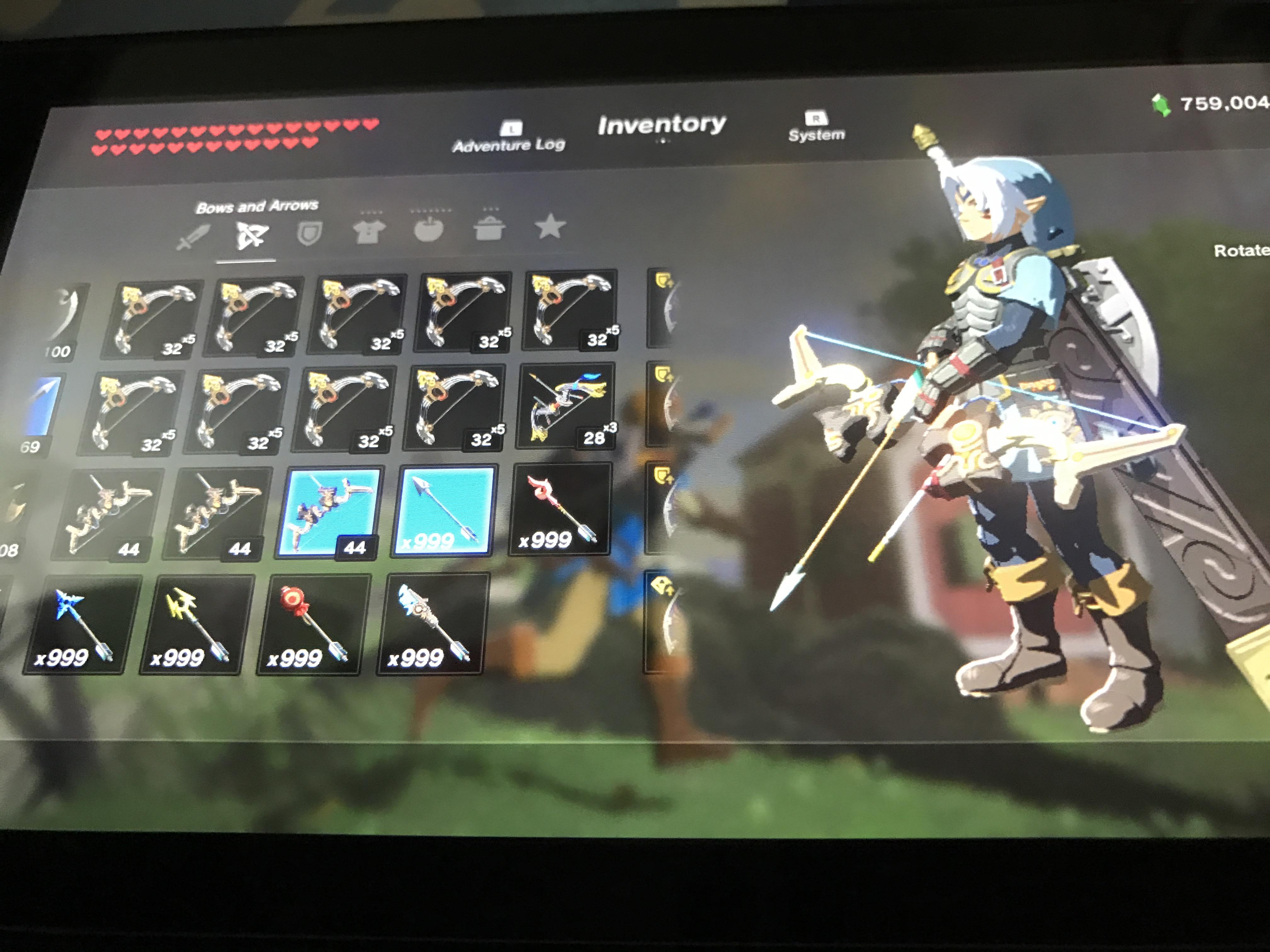 Finally Have enough Arrows Breath_of_the_Wild