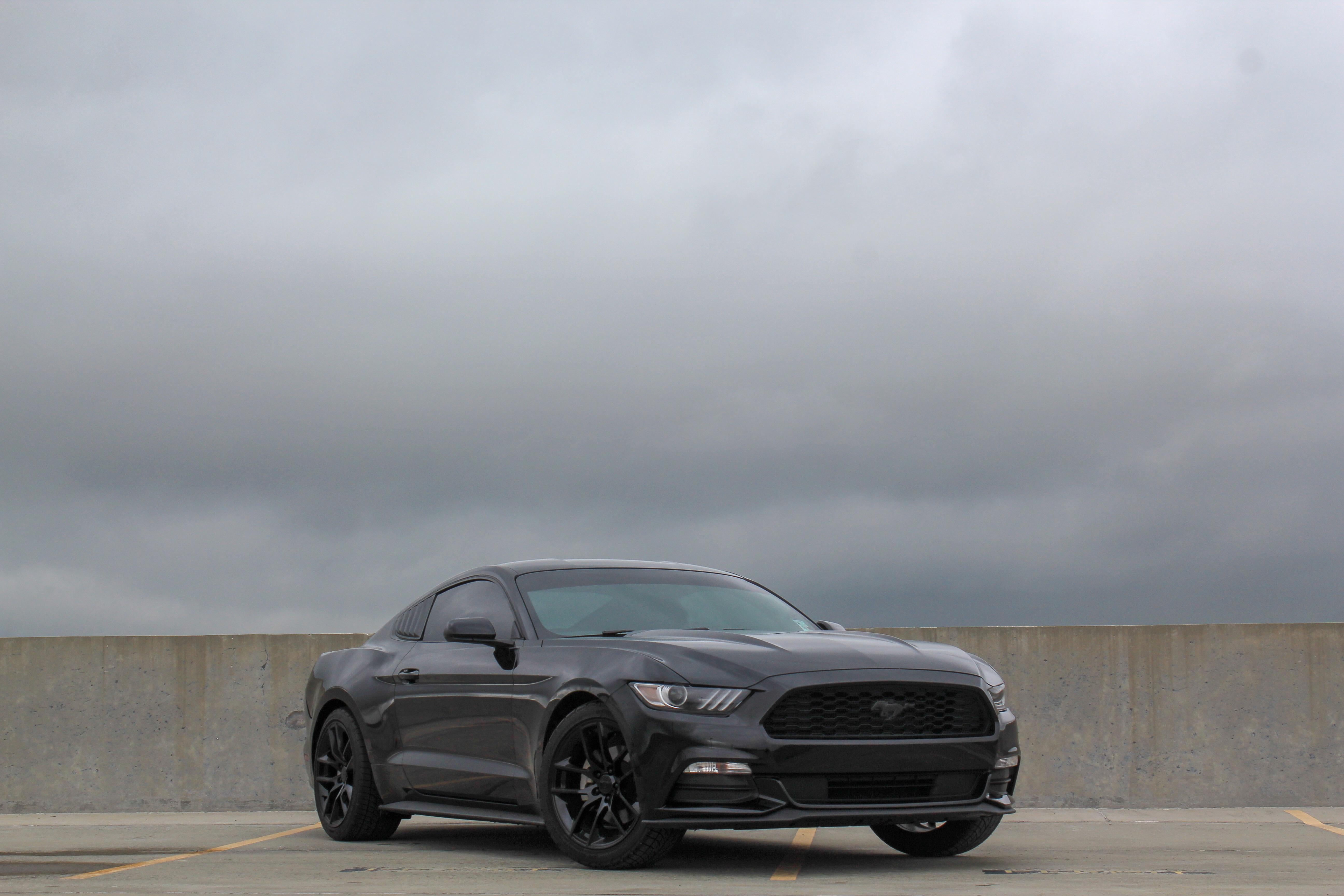 Exterior mod suggestions? r/Mustang