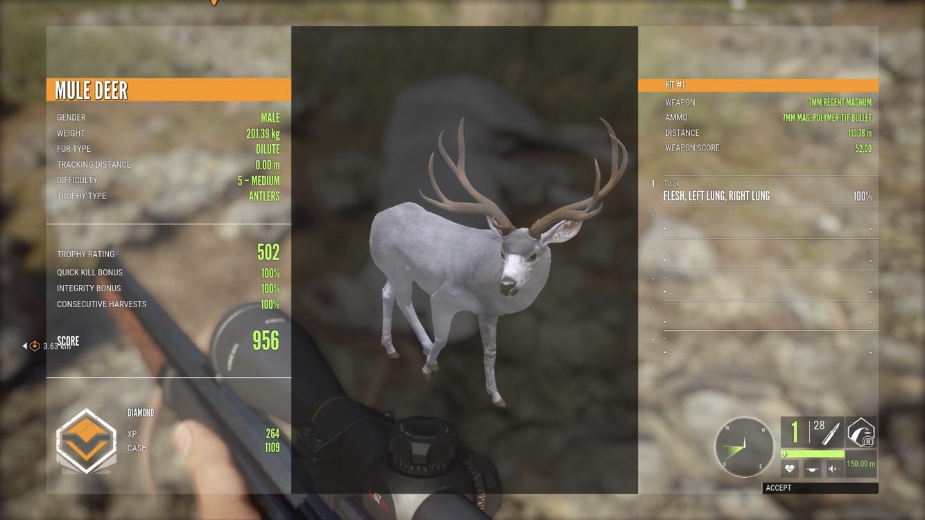 Dilute Diamond Mule deer, I am pretty happy about my first diamond! r