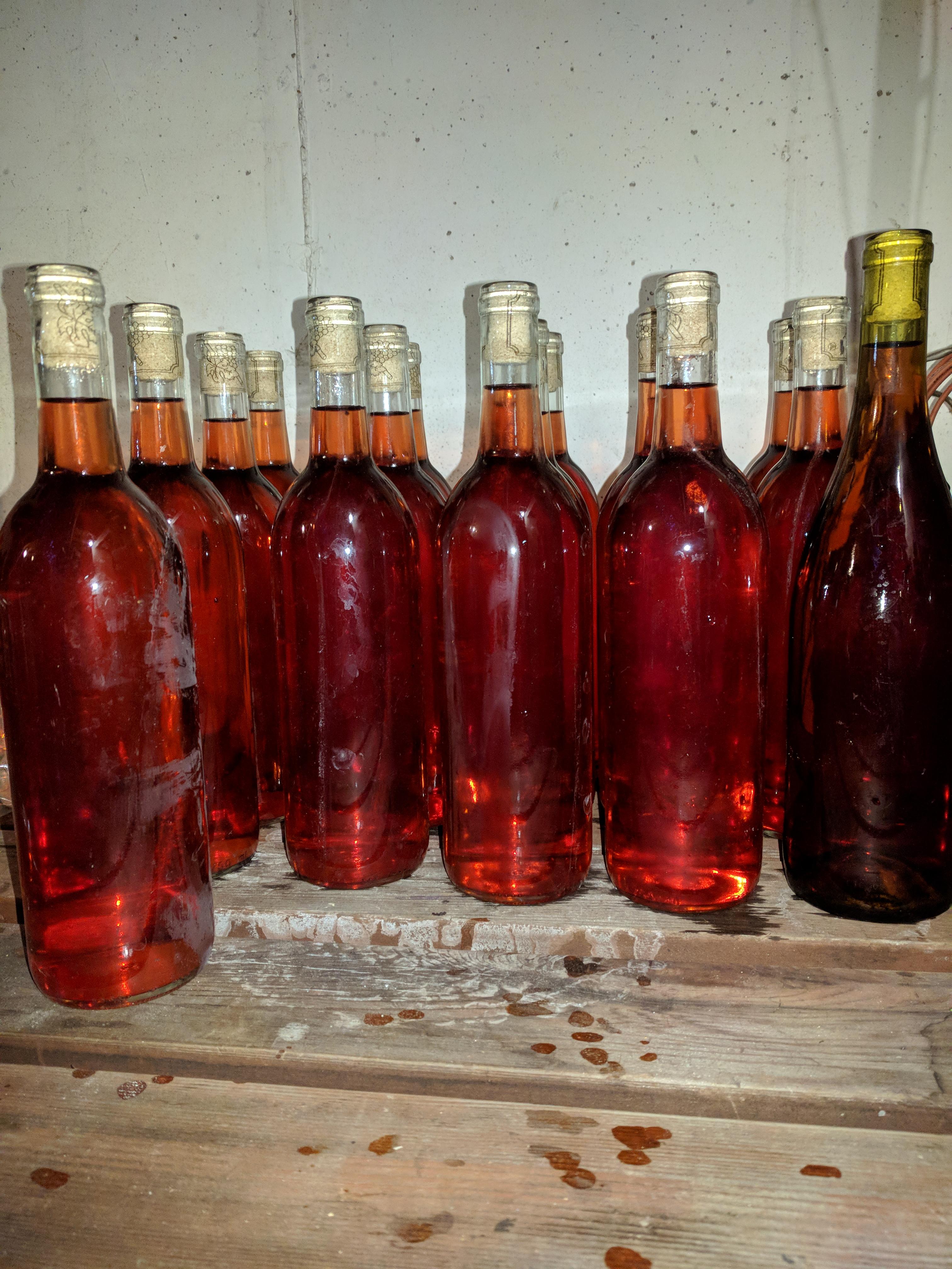 Michigan tart cherry. 23 bottles, 2 down already! r/winemaking