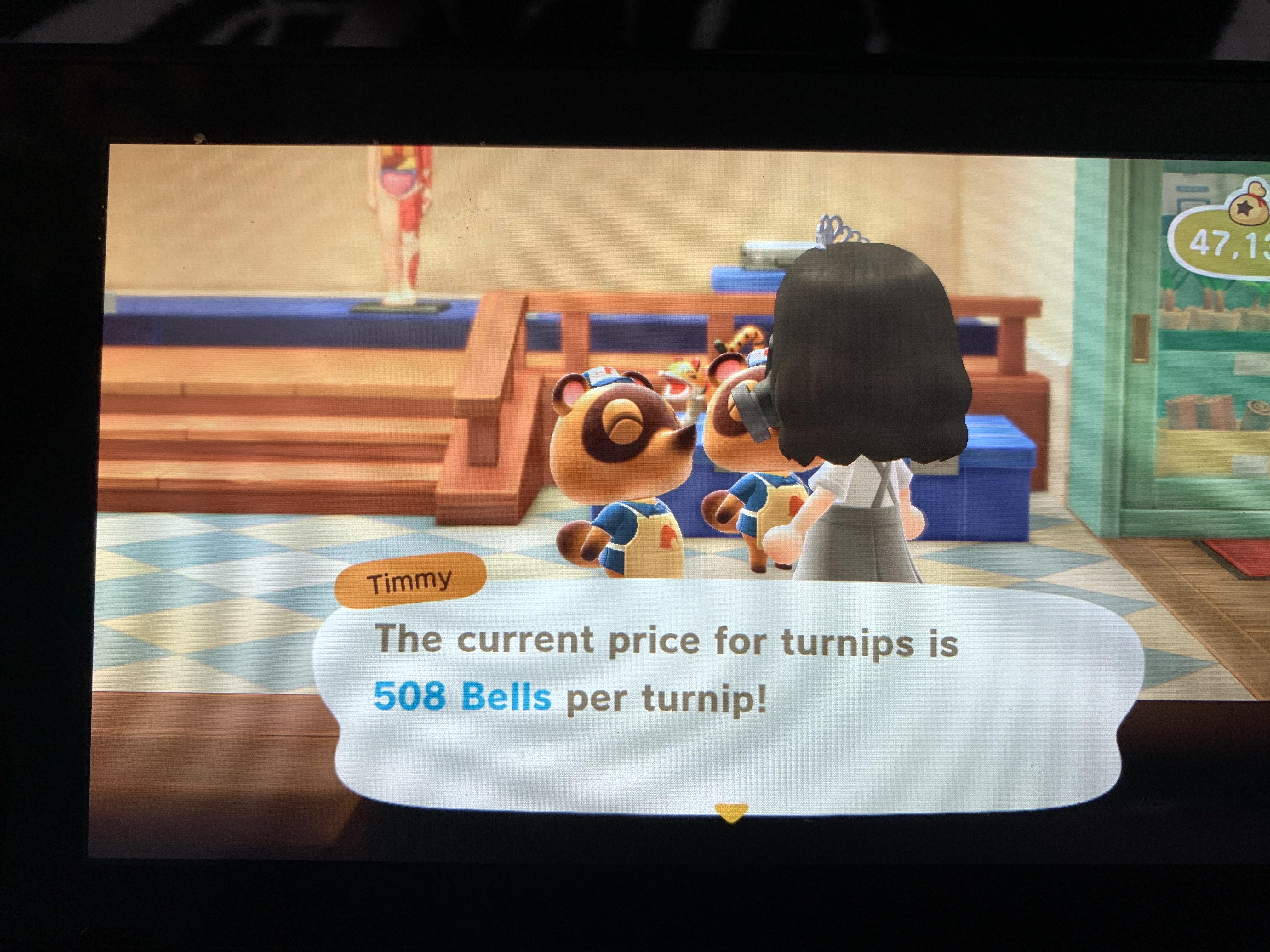 Is anyone looking to sell turnips? 508 bells per turnip, my island code