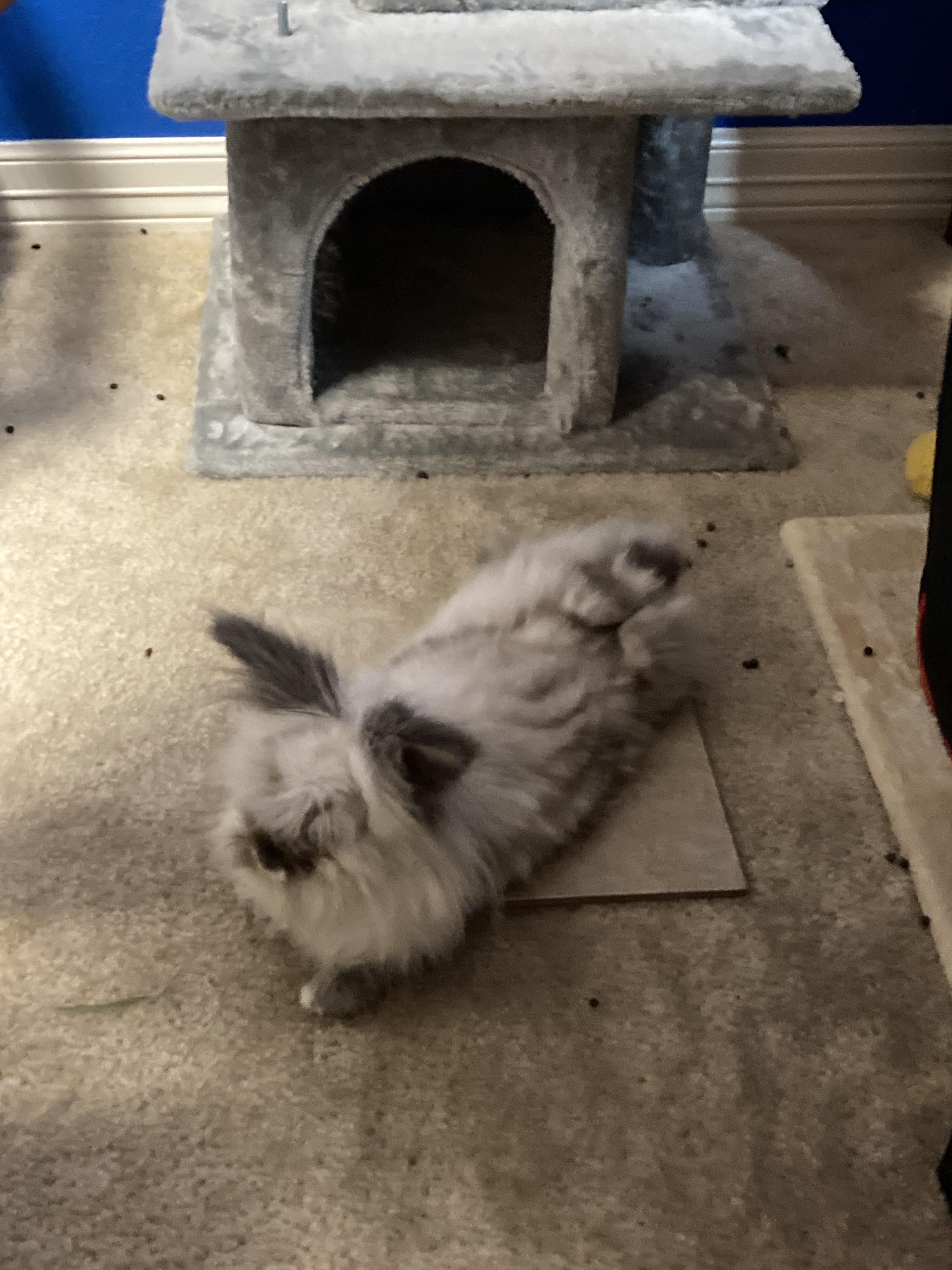 I live in Texas, and my room has bad AC and is right above the garage