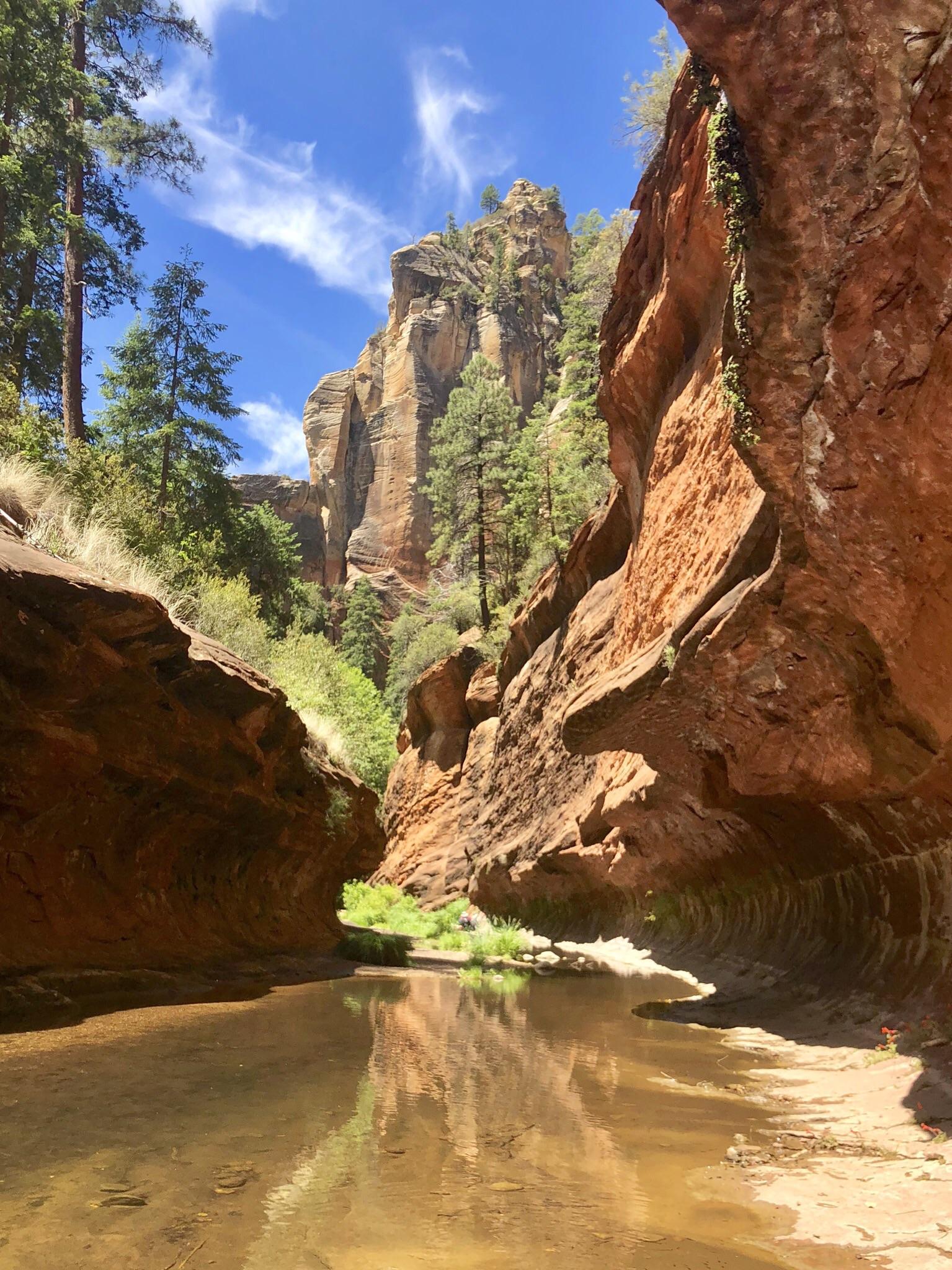 Web the west fork trail is one of the most popular and most beautiful trails in the coconino national forest. West Fork Creek (Sedona, AZ) r/LandscapePhotography