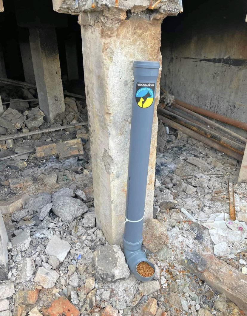 These pet feeding stations prevent animals from starving in Ukraine