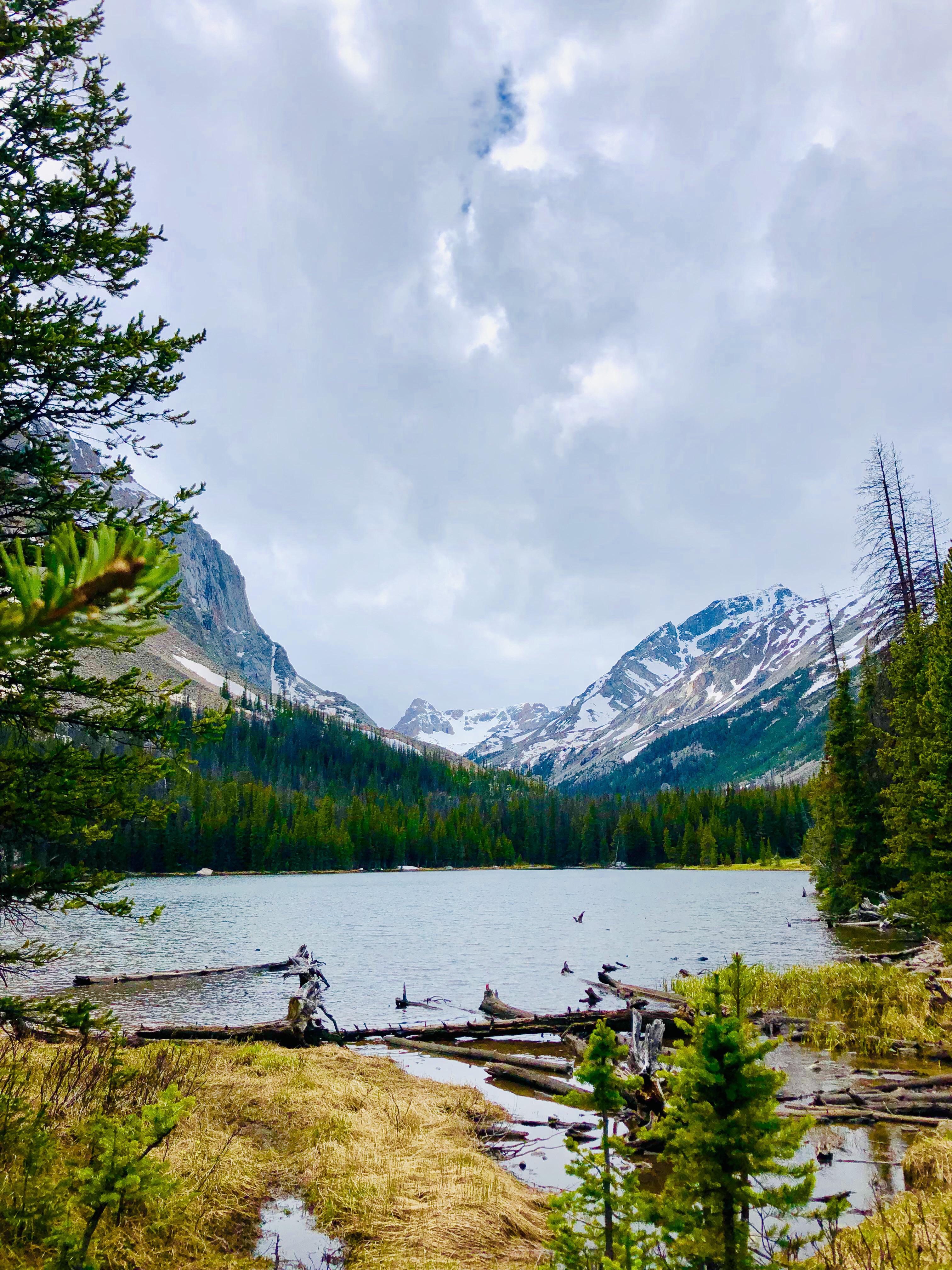 Lower Lake Fork Trail // Red Lodge, MT // 6.25.19 r/Montana