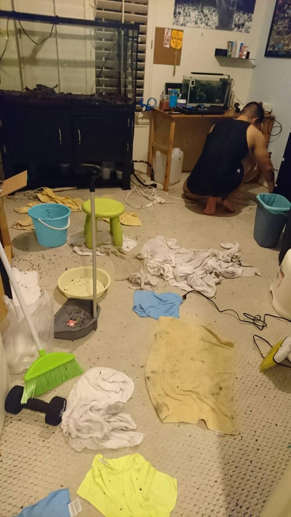 RIP. 60 gallon tank busted last night. r/Aquariums