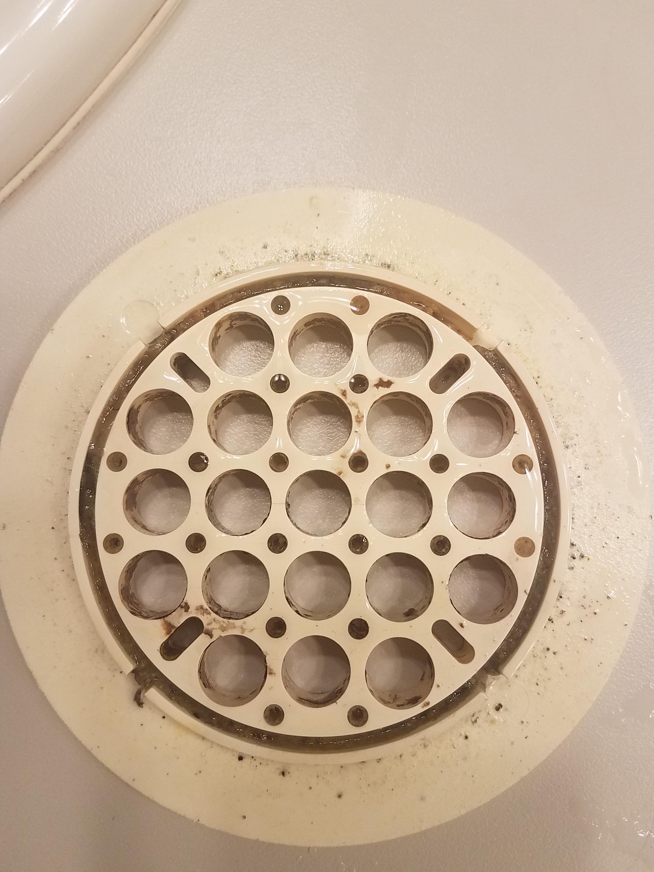 Shower drain cap outer ring Is this what's left of gasket or should I