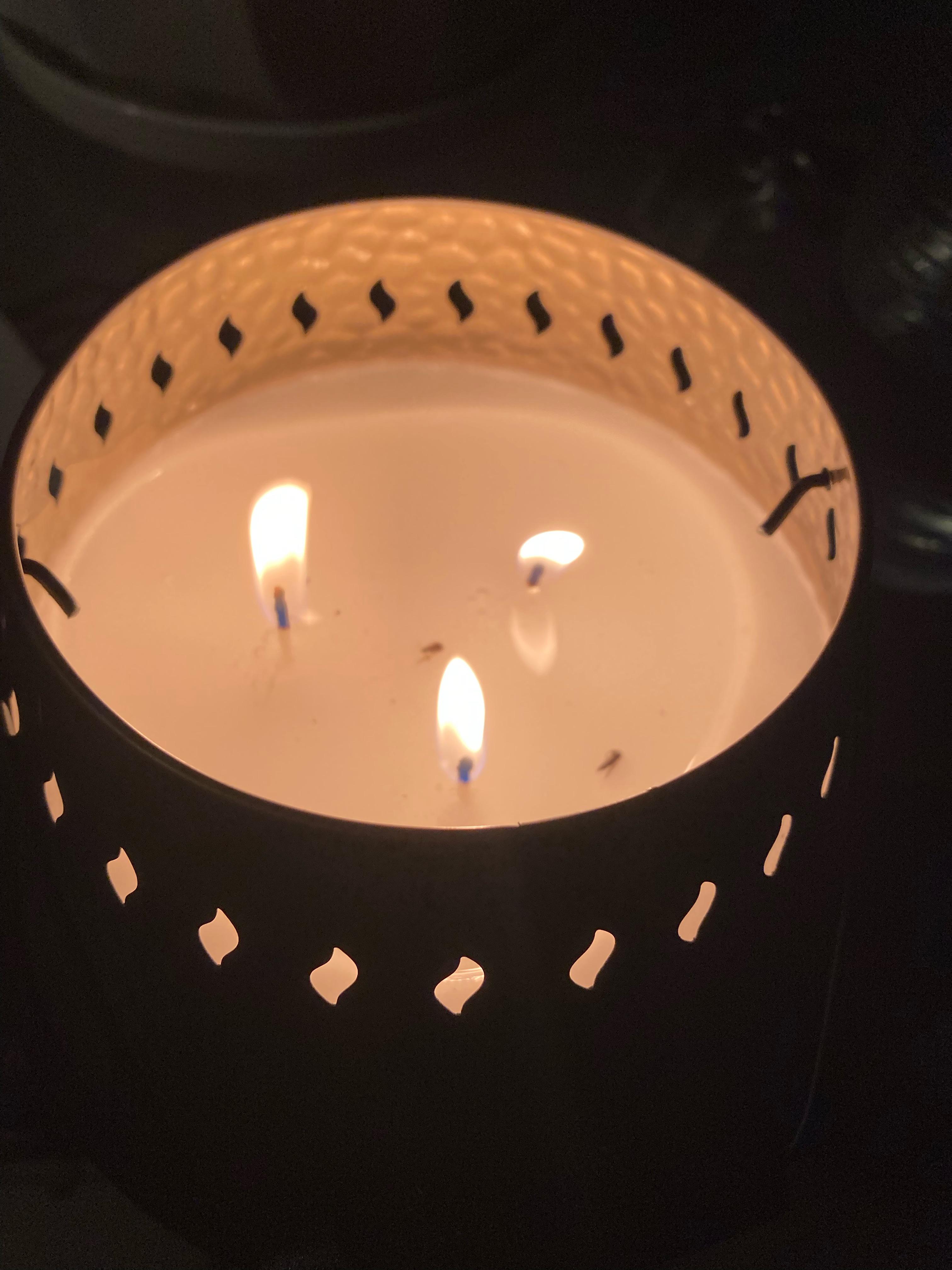 Just bought the citronella candle from Lowe’s and it’s doing near to