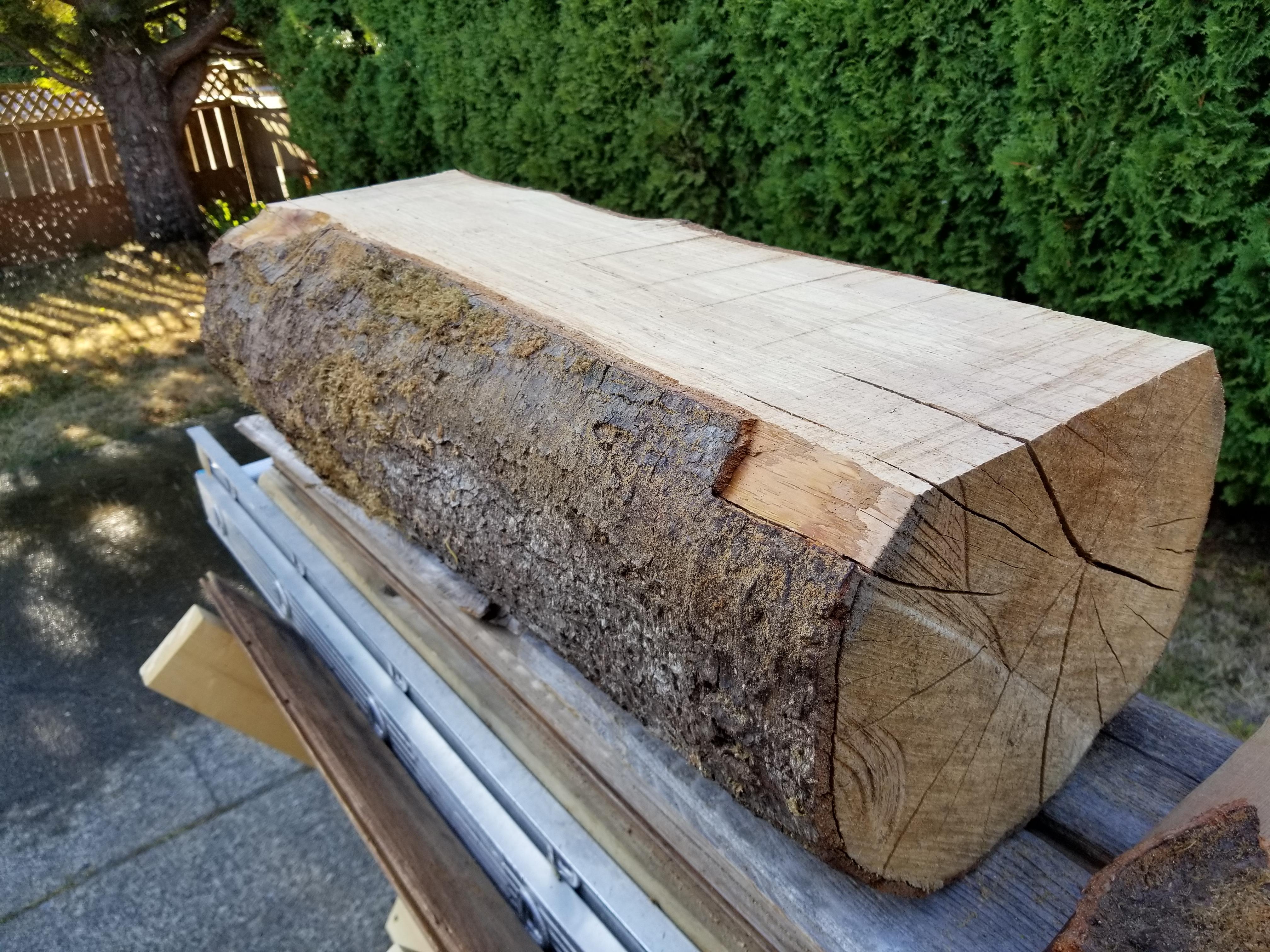 Anyone know the type of Wood? (BC Canada sourced) r/wood