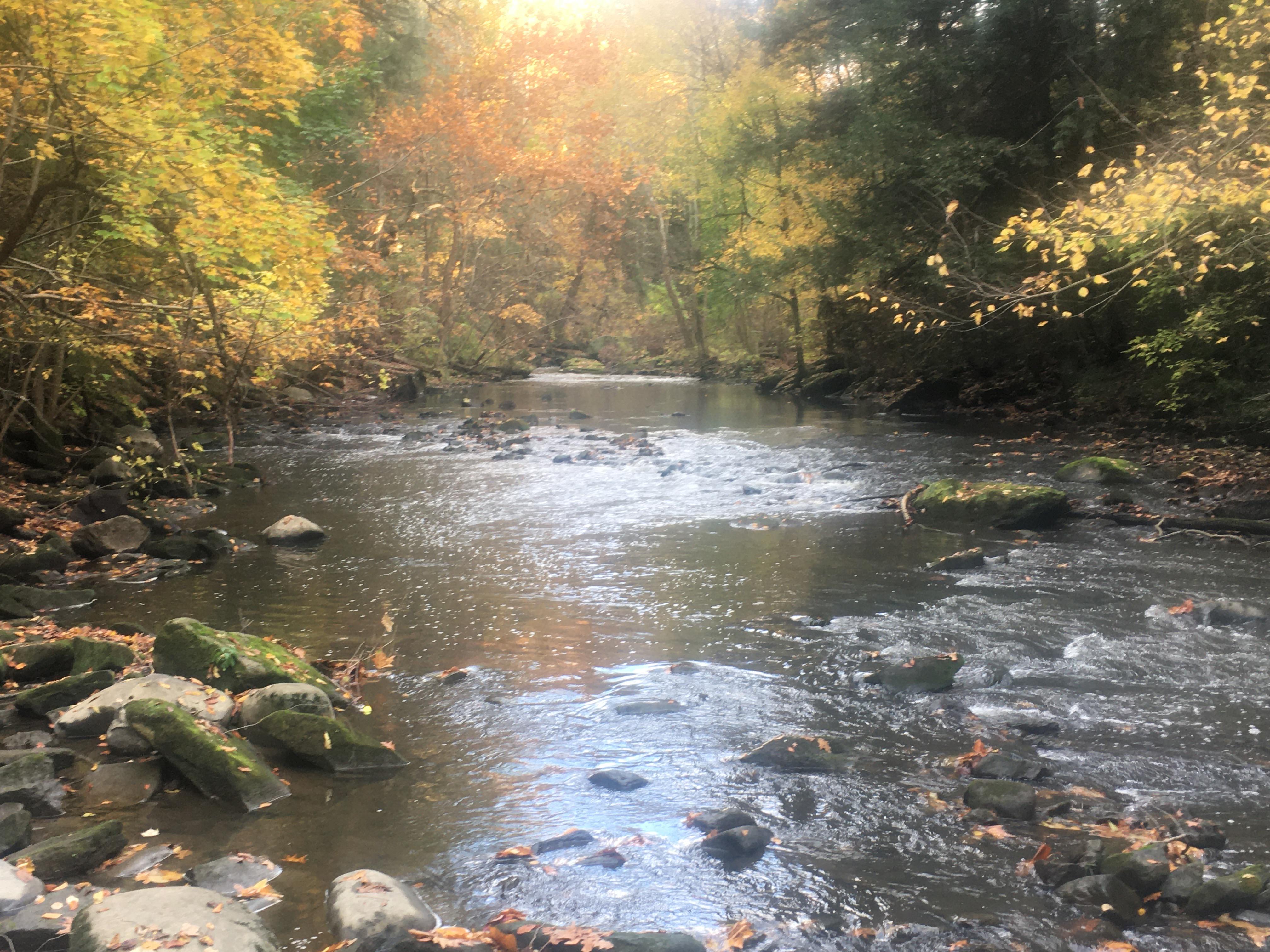 [oc] Mill Creek Park, Ohio. [1920 x 1080] r/EarthPorn