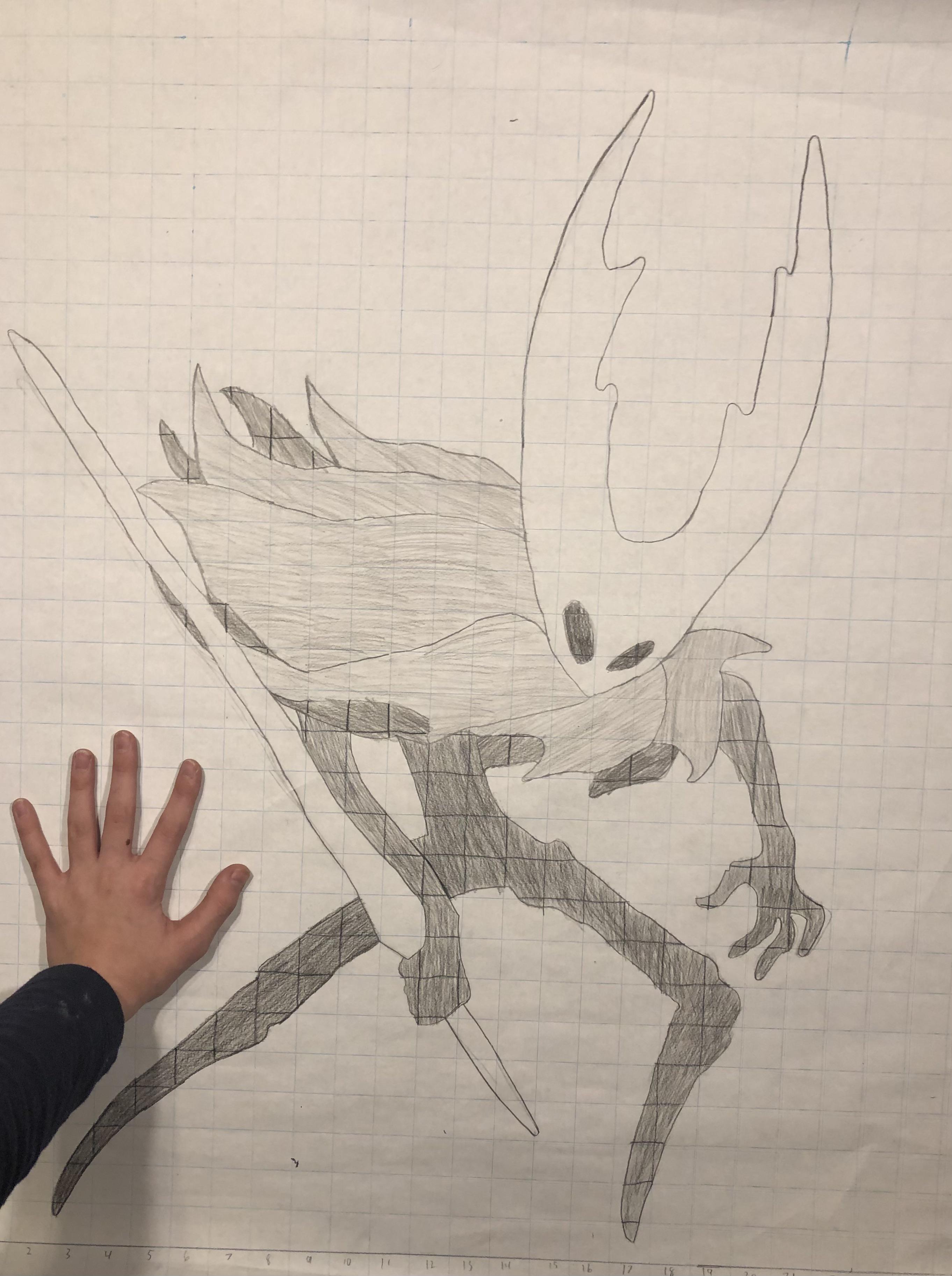 My drawing of PV for school HollowKnight