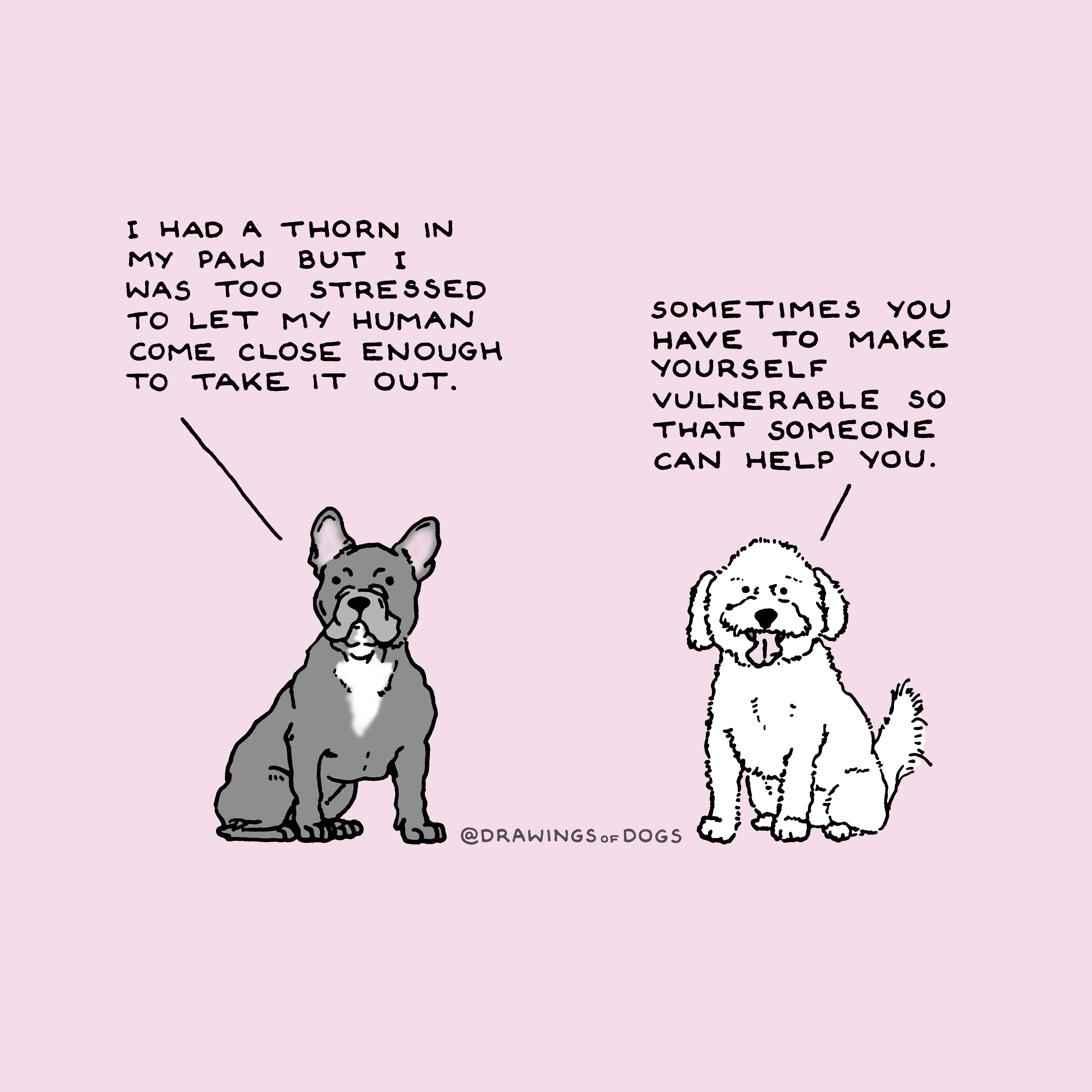 Wholesome mental health awareness day dogs wholesomememes