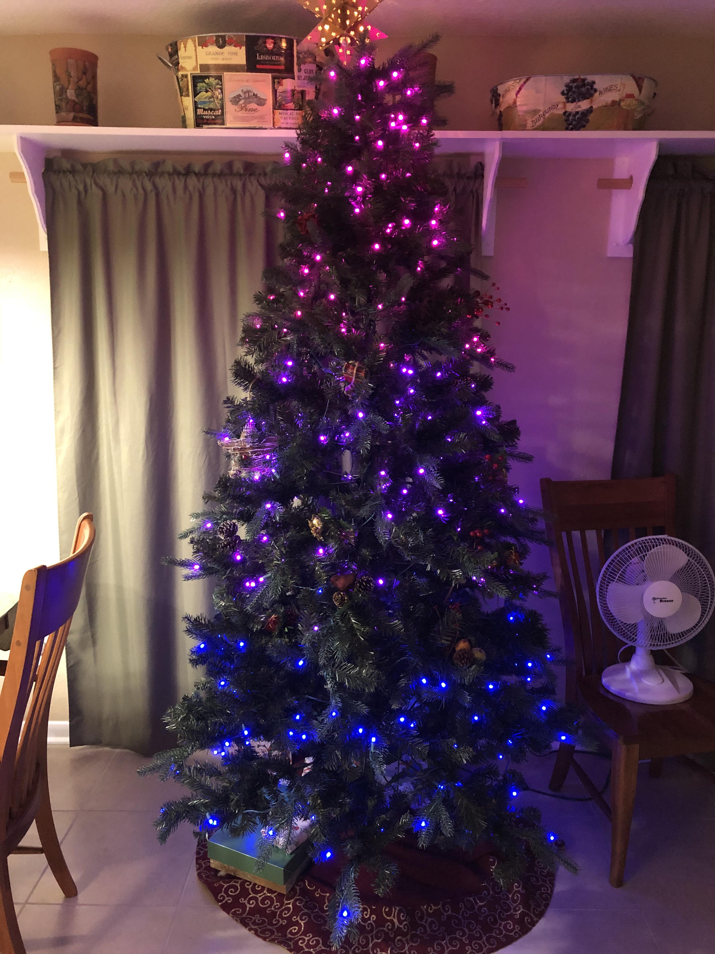 I have a bisexual Christmas tree! bisexual