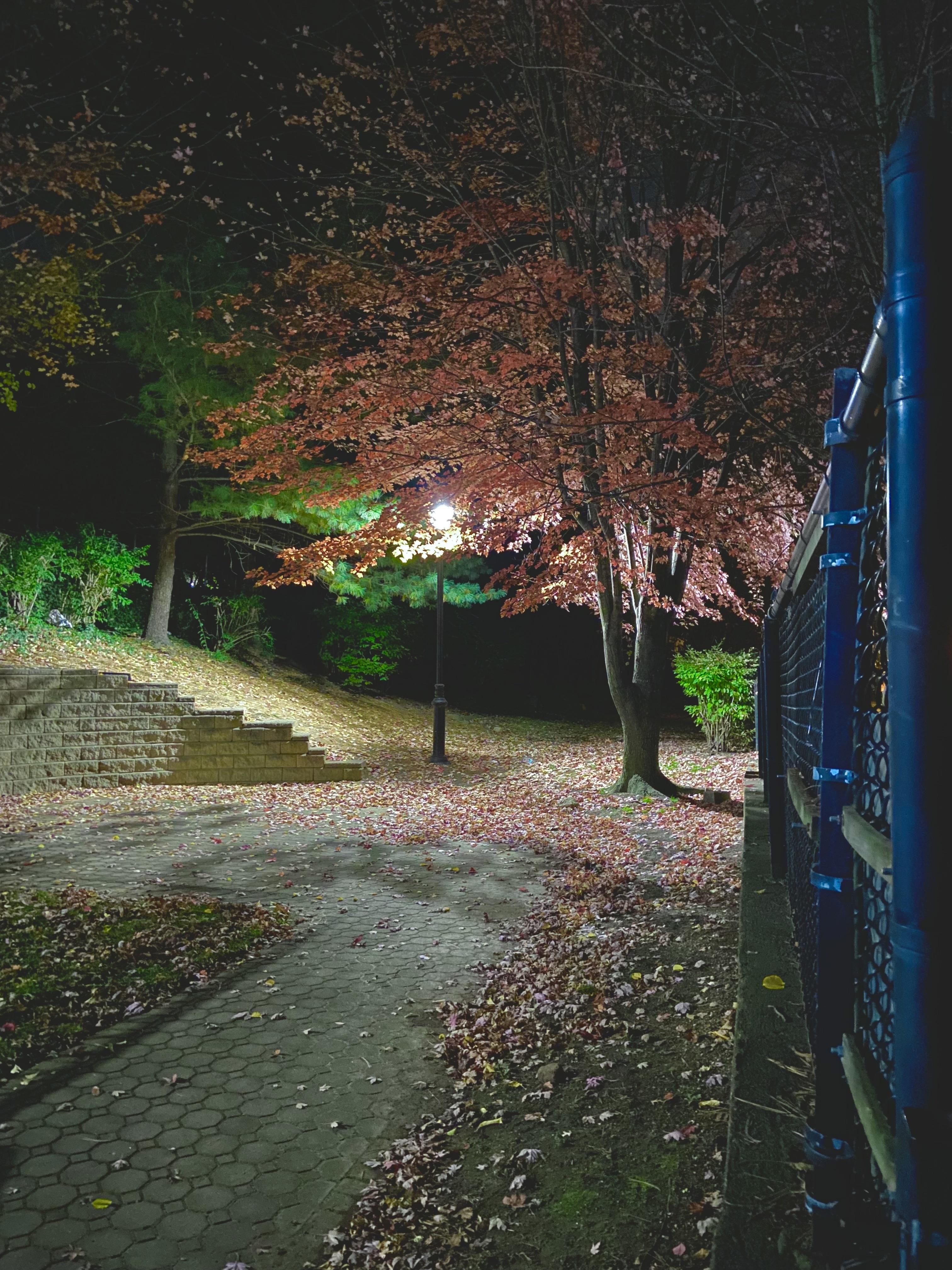 November 9th, 350 AM, Blumenfeld Family Park r/TheNightFeeling