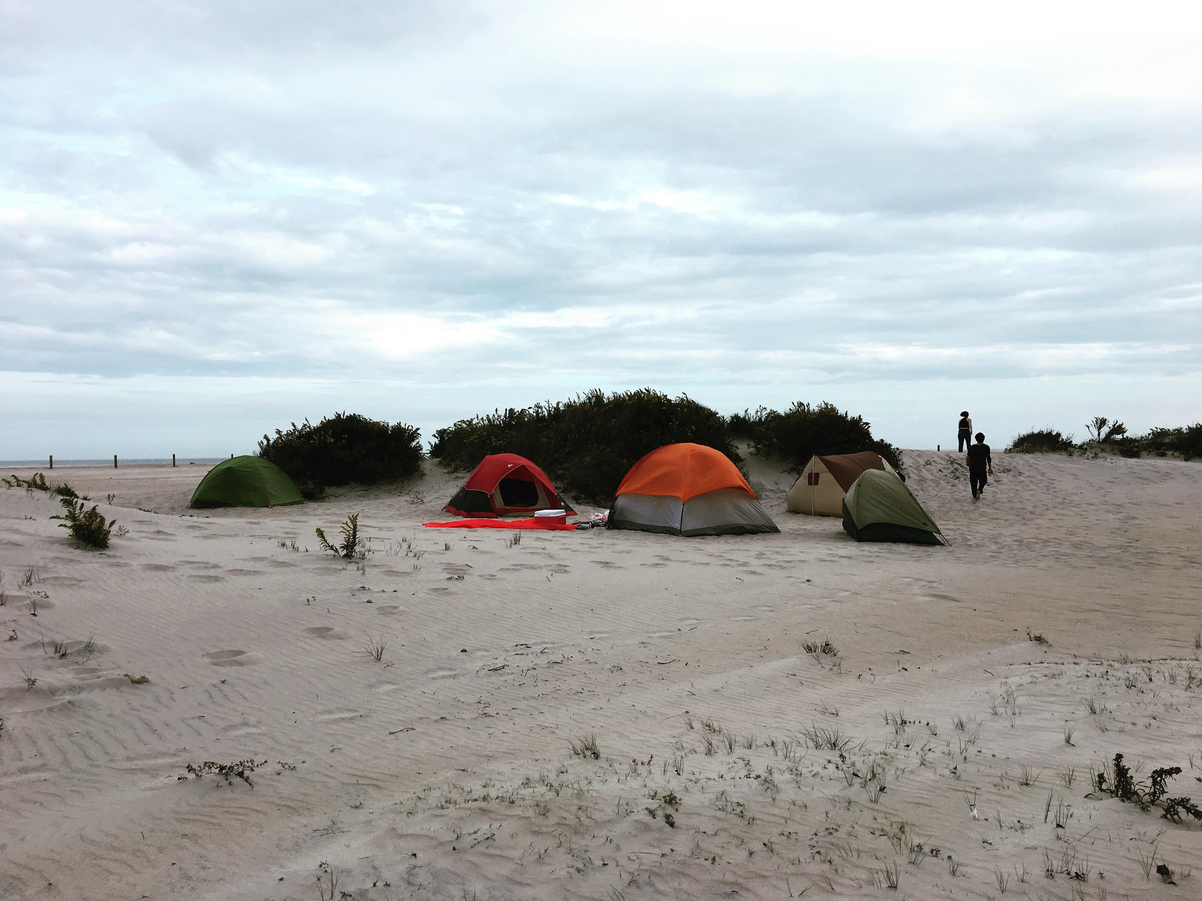 Assateague Island, Maryland. Home for the past week. r/camping
