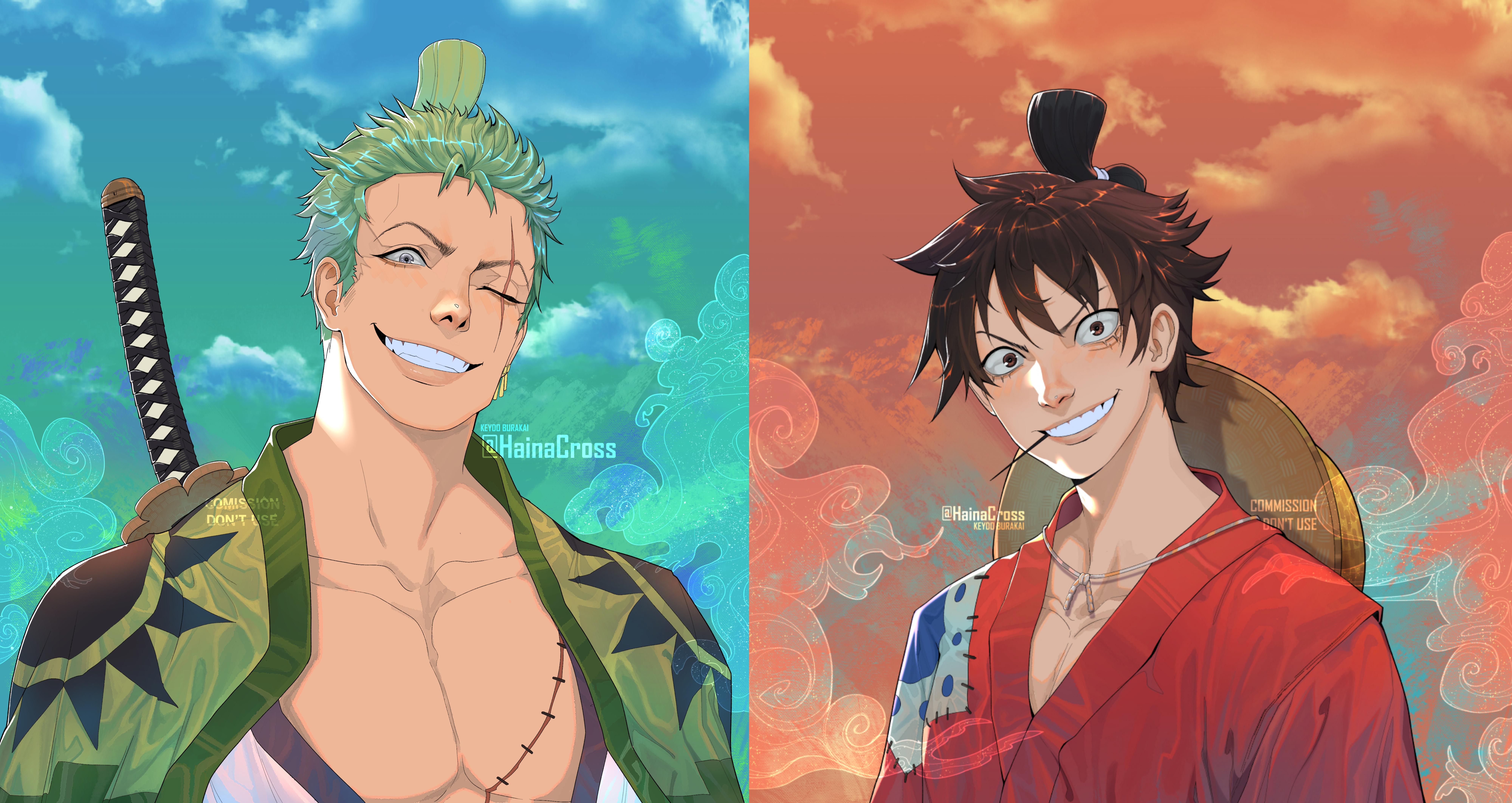 One Piece Zoro And Luffy