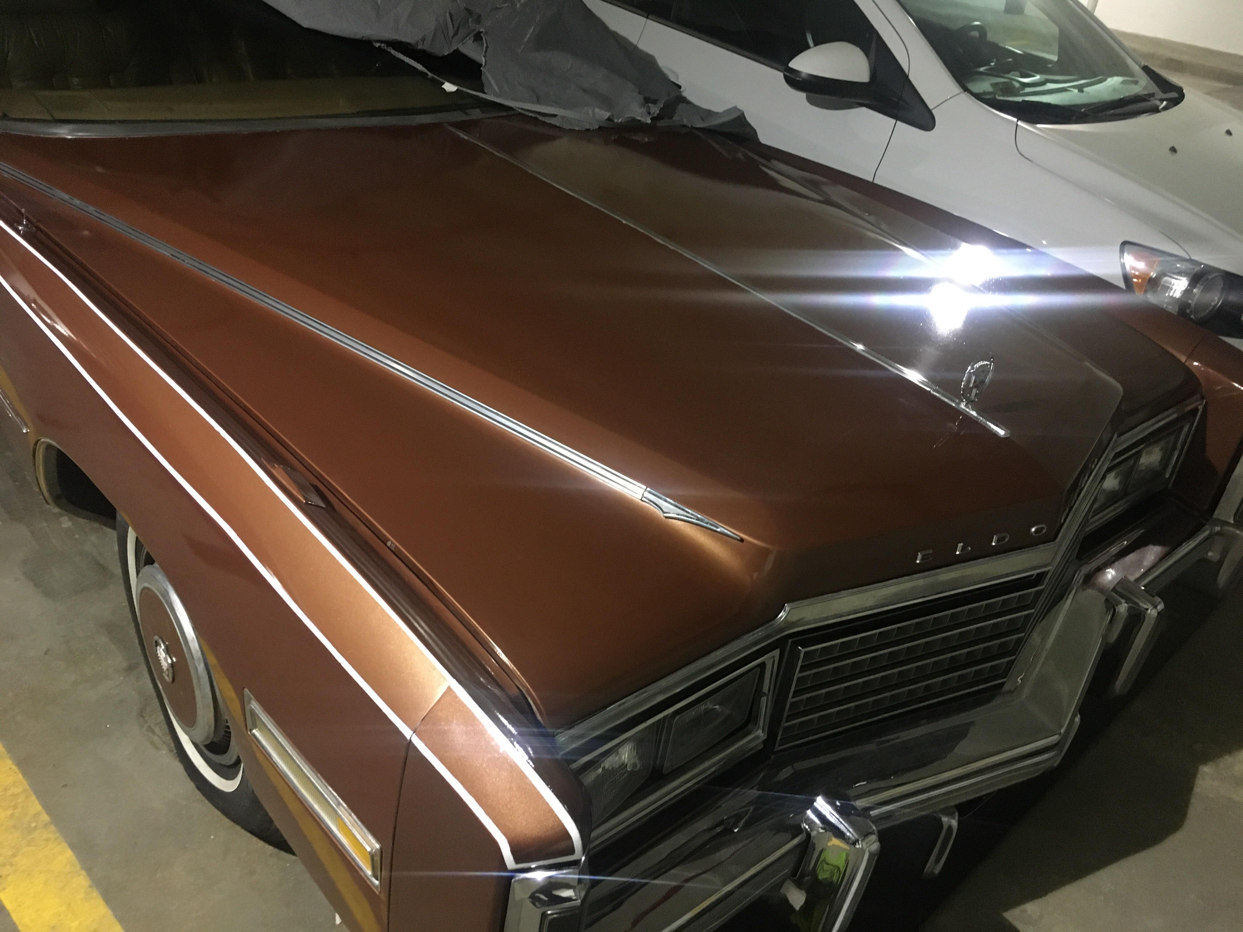 Been working to make my 10 y/o bad maaco job look like glass. She looks