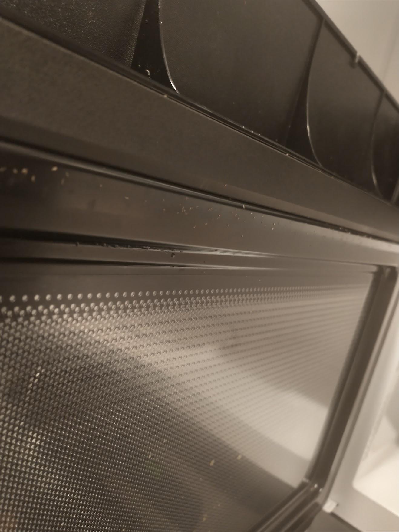 Found these lining my microwave door, all on the roof of microwave, and