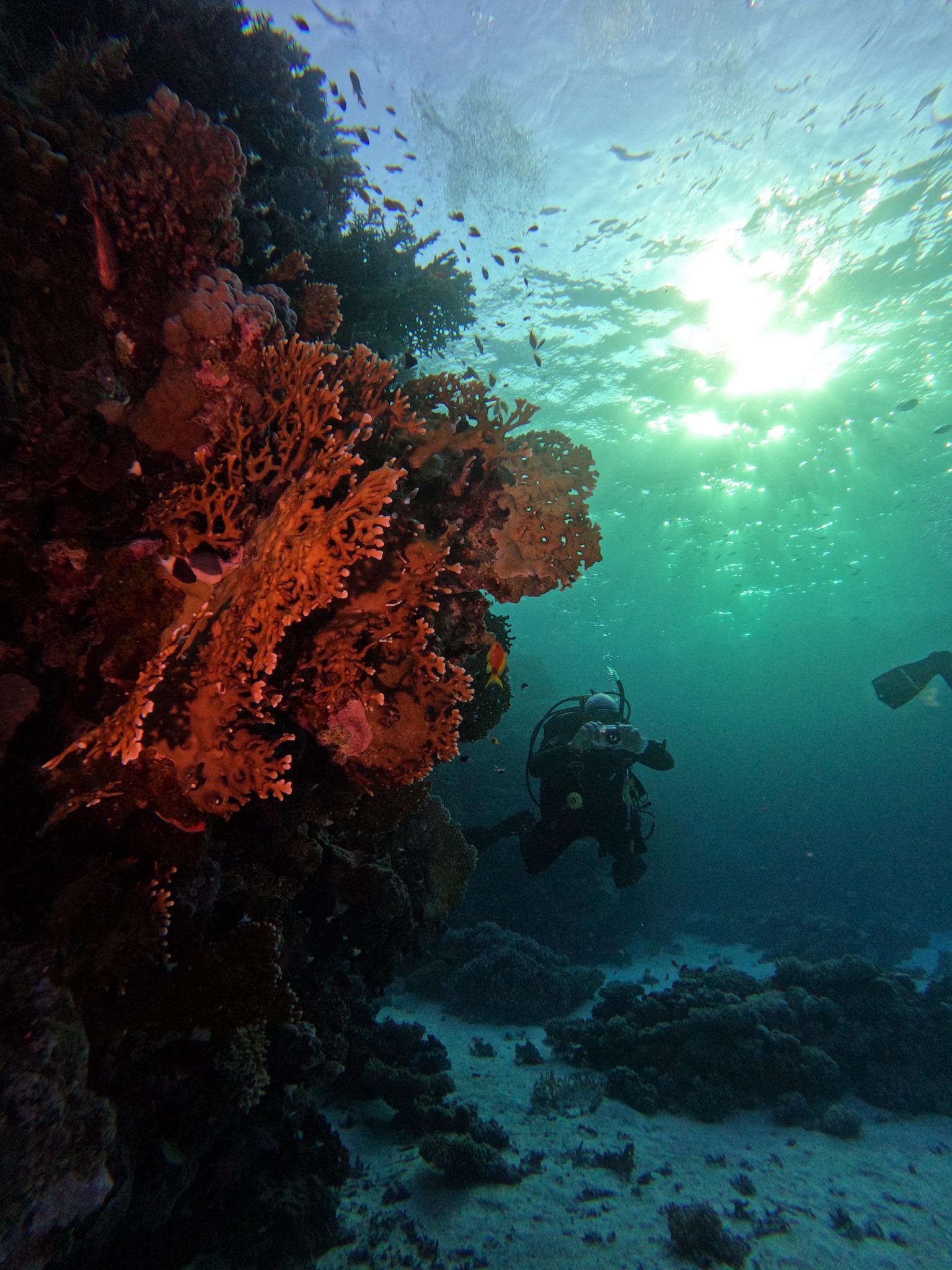 Kaitkrems Files Deep Dive More Explosive Than You Think Truth or Fiction