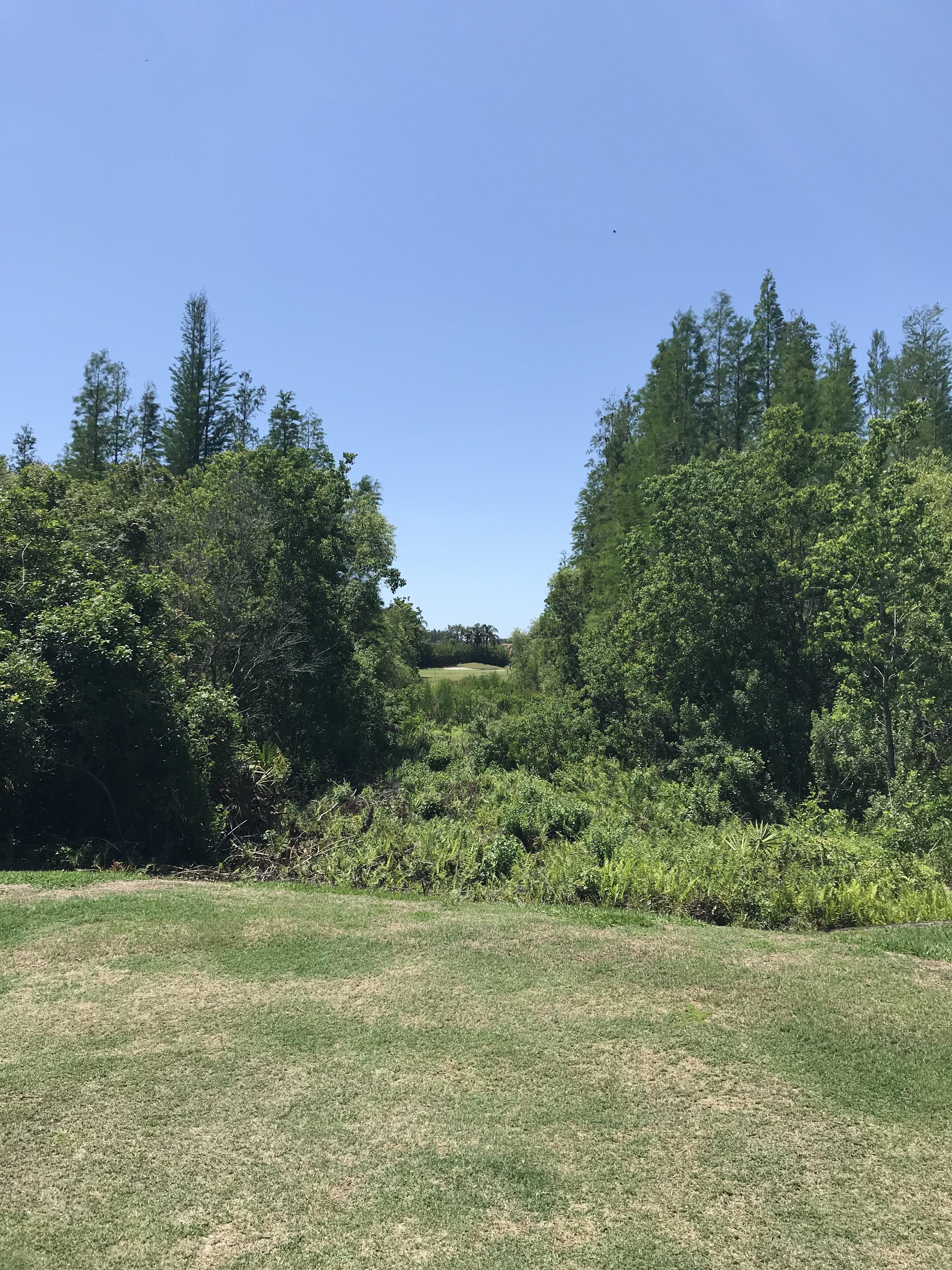 Heritage Harbor Golf & Country Club Lutz, Florida. Par 3 266 yards. WYD