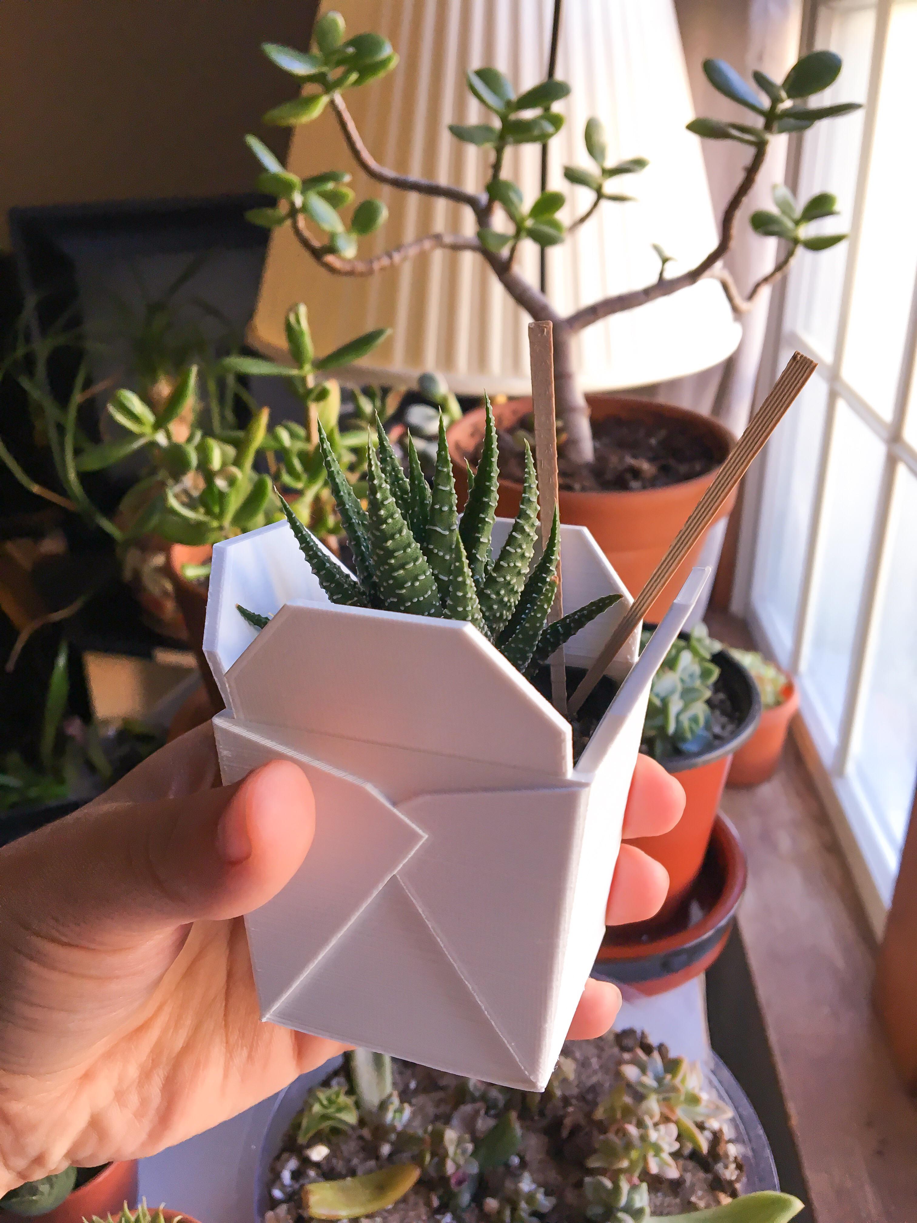 I got the cutest 3D printed planter!!! It even came with