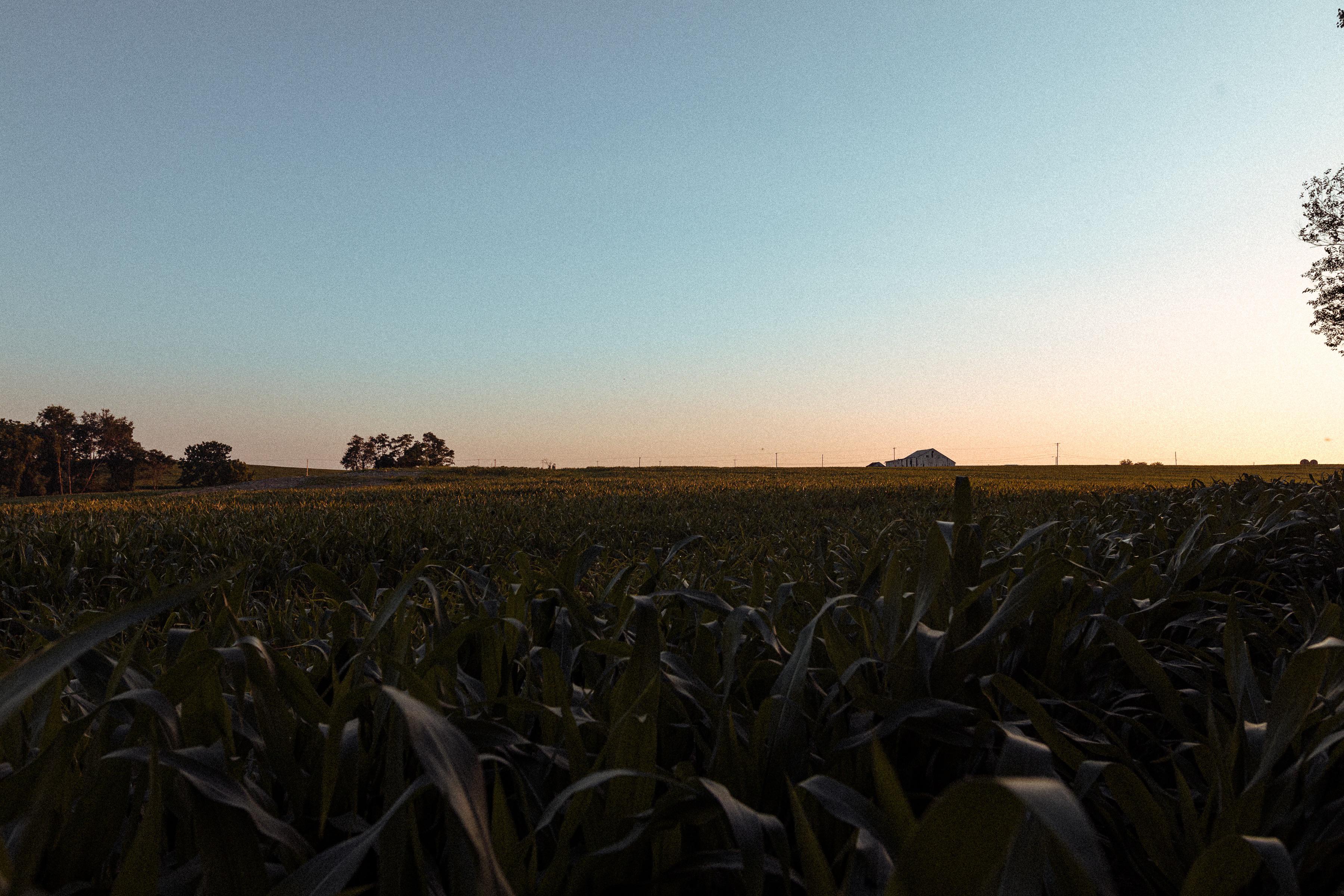 A beautiful sunset in Quarryville. Very peaceful to be out there. r