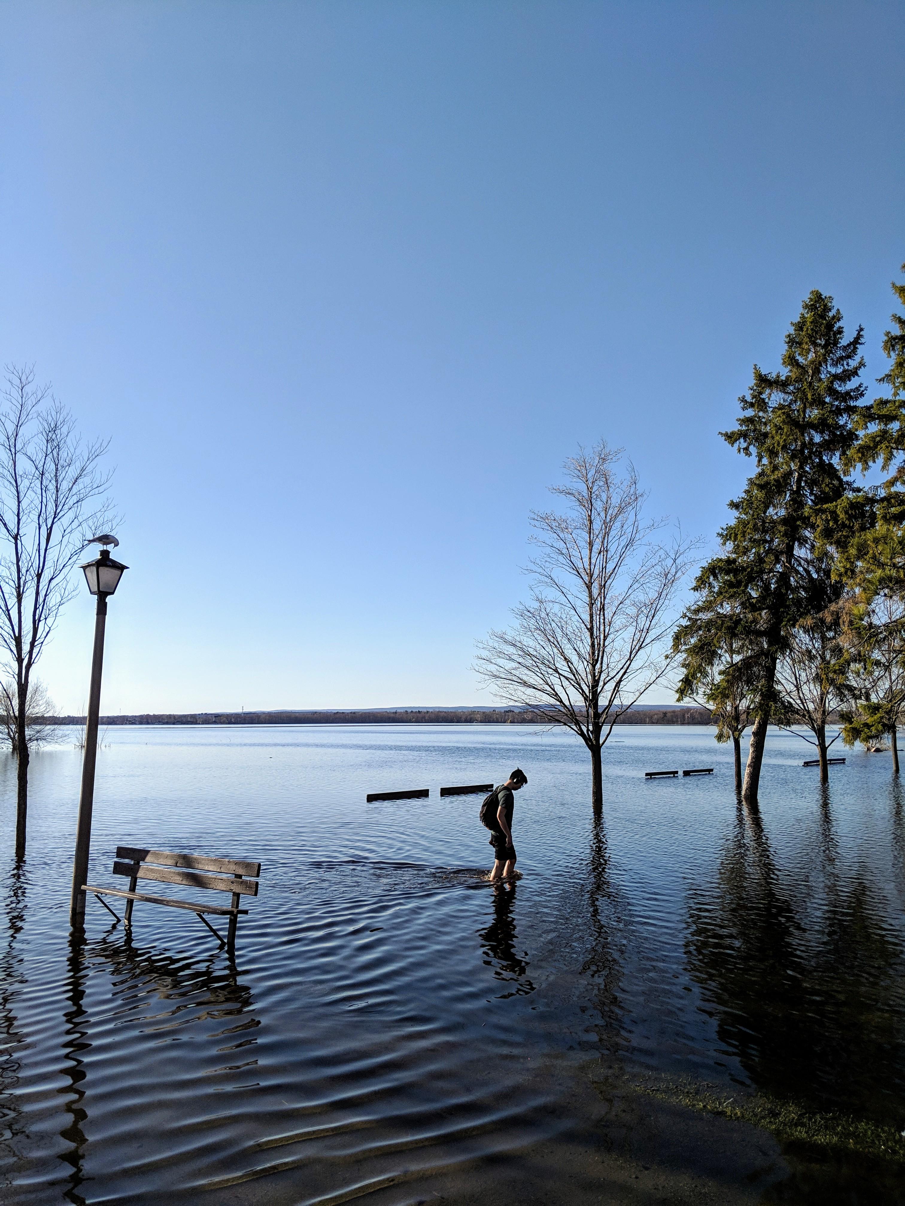 Just going for a walk in Britannia Park r/ottawa
