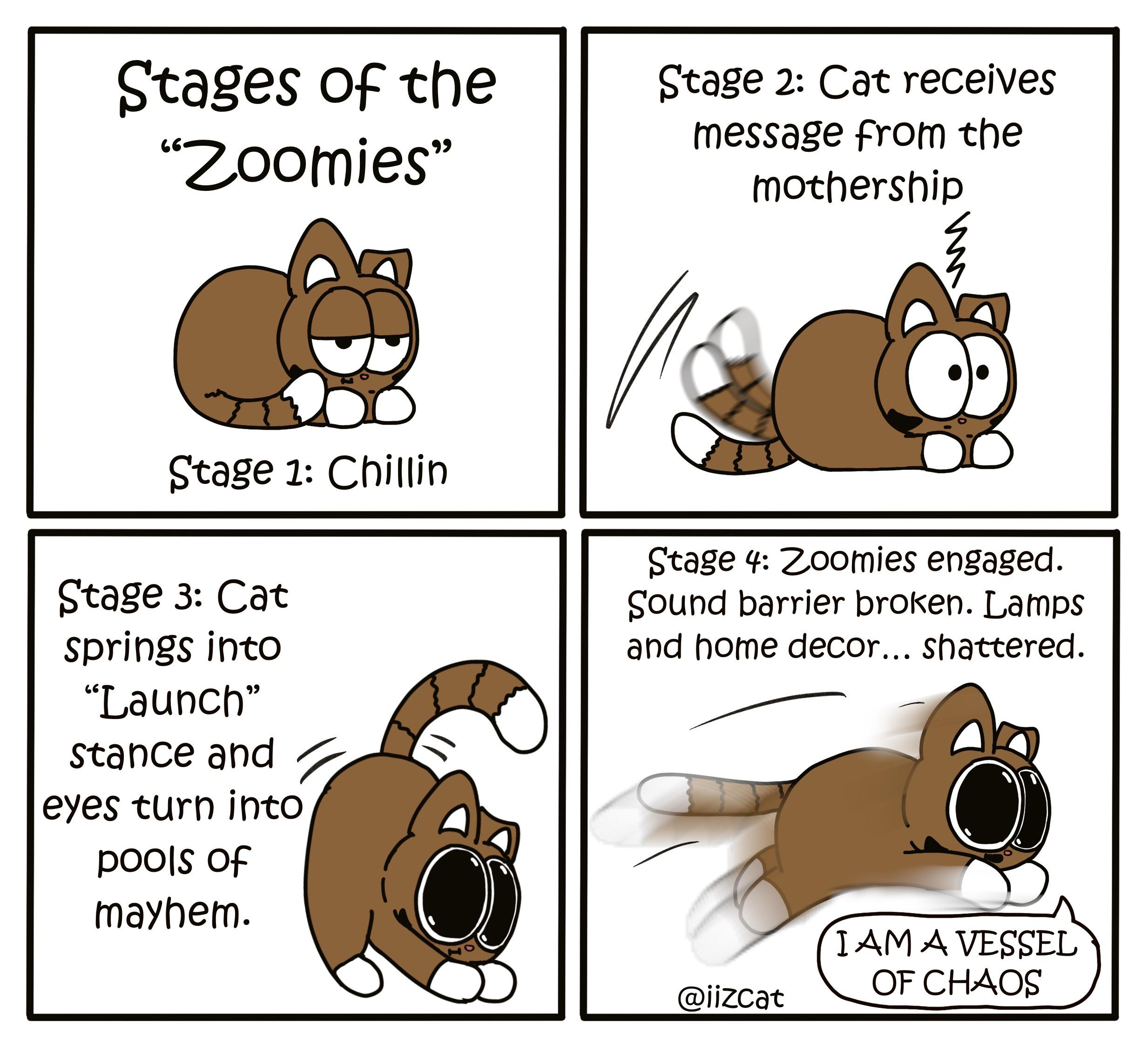 Stages of the “Zoomies” r/Zoomies