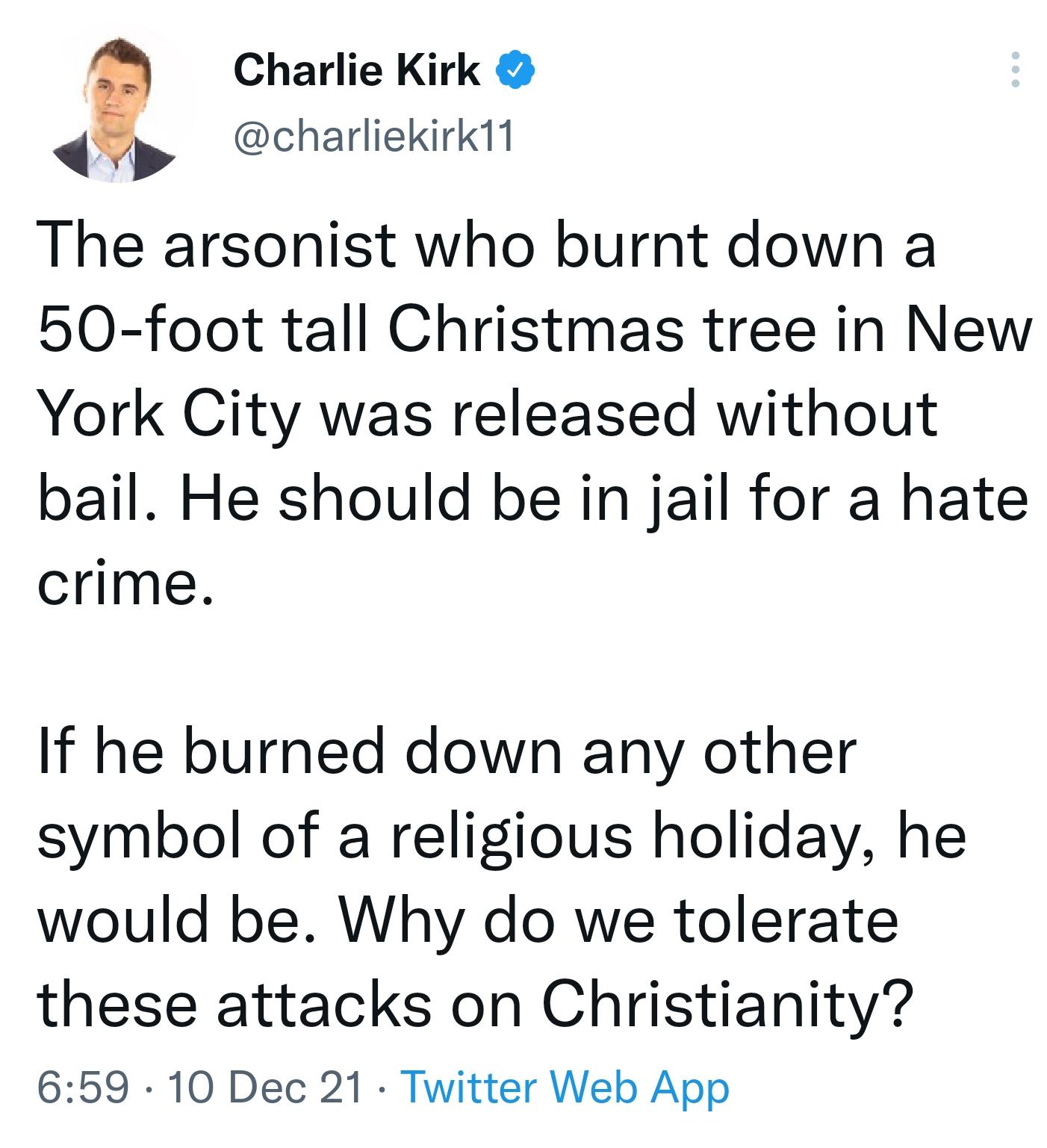 50 Hilarious Christmas Tree Captions Puns Punstoppable 🛑