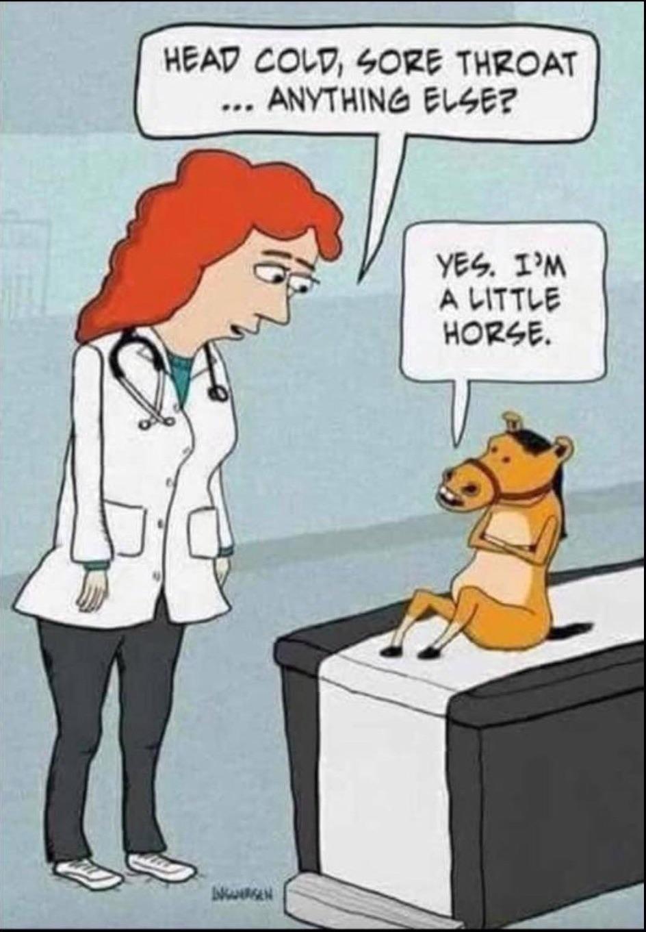 32 Hilarious Why the Long Face Puns Punstoppable 🛑