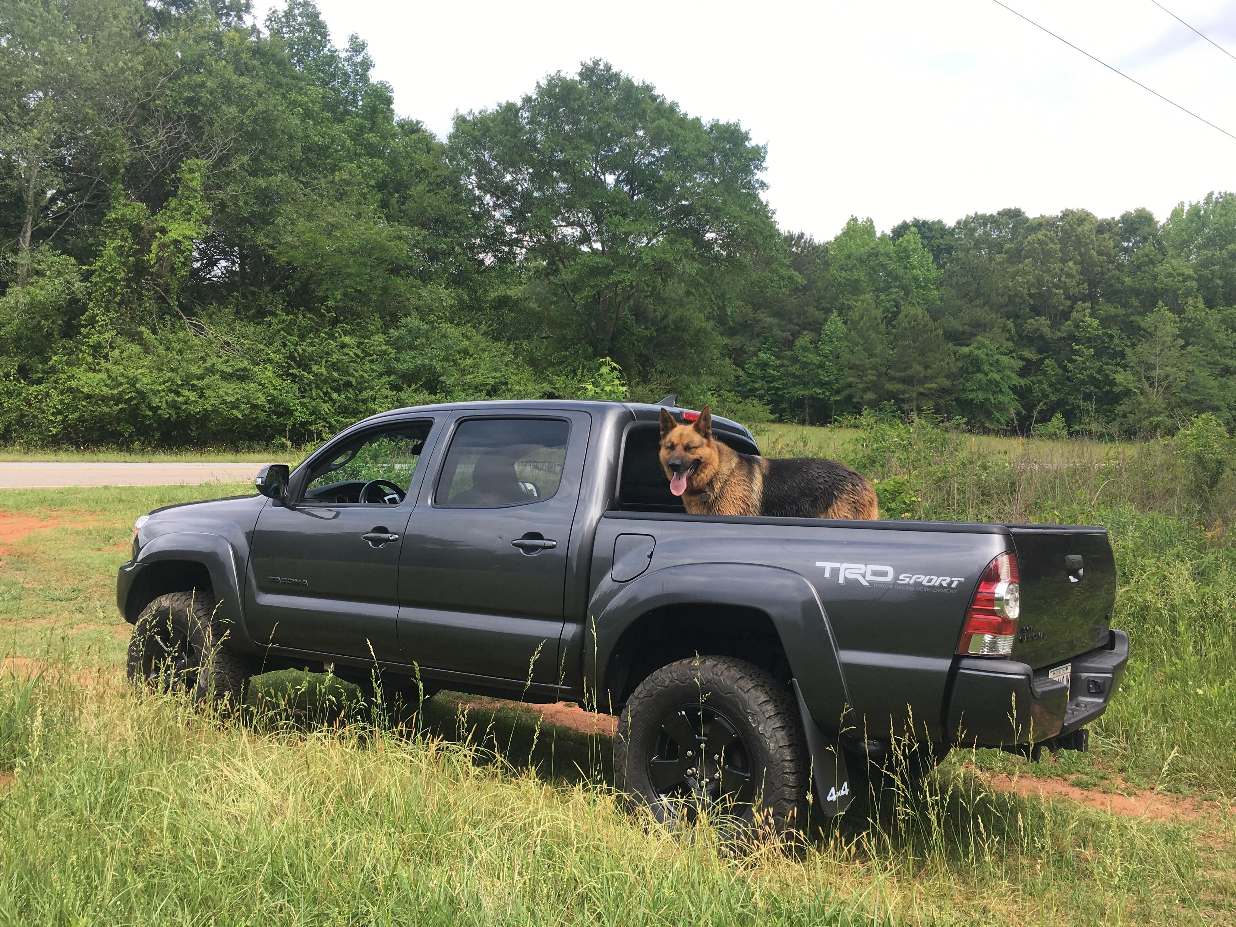 Saying our goodbyes today with my buddy, Truck is being sold tomorrow