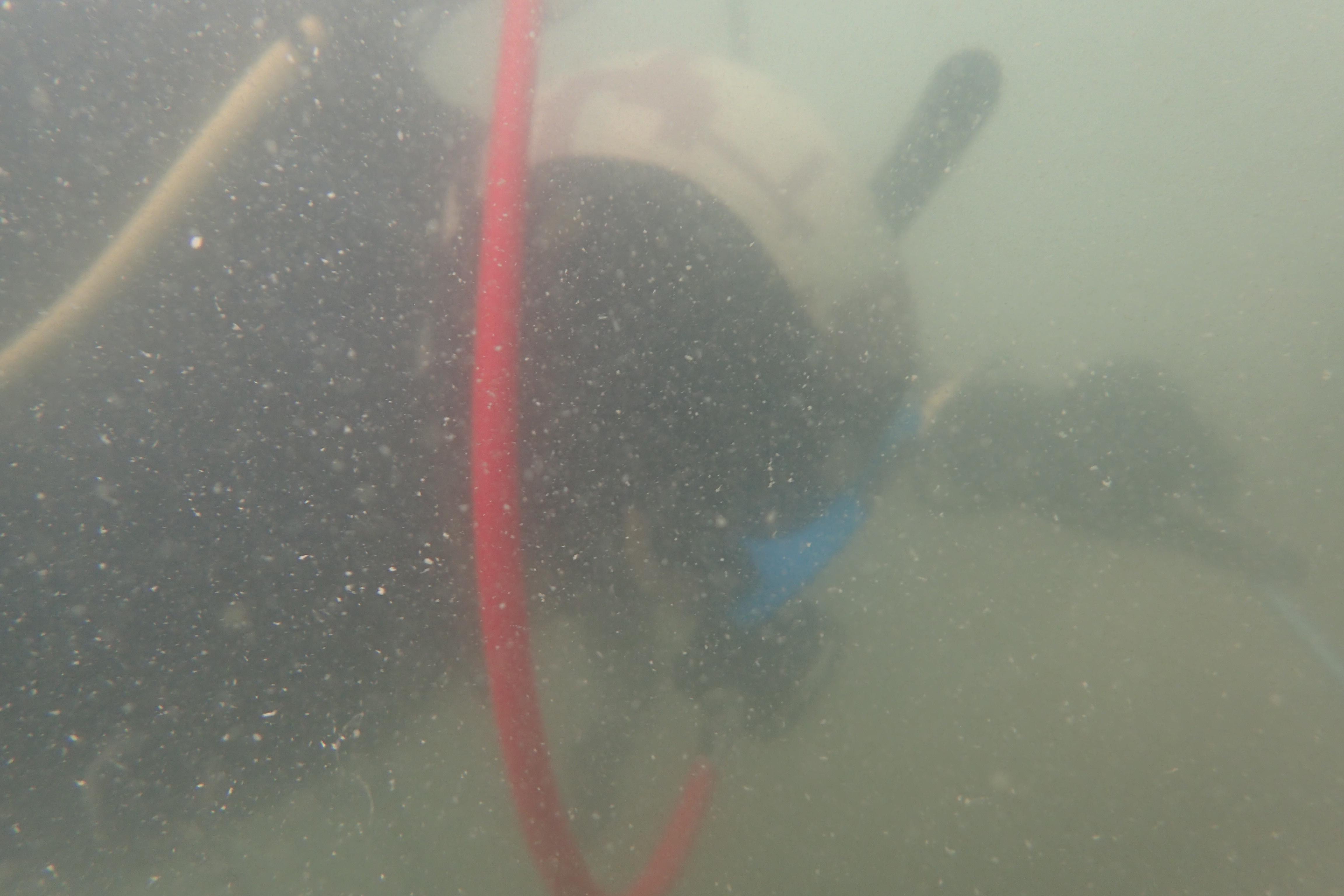 Diving in Penang for work. Visibility of teh tarik r/malaysia