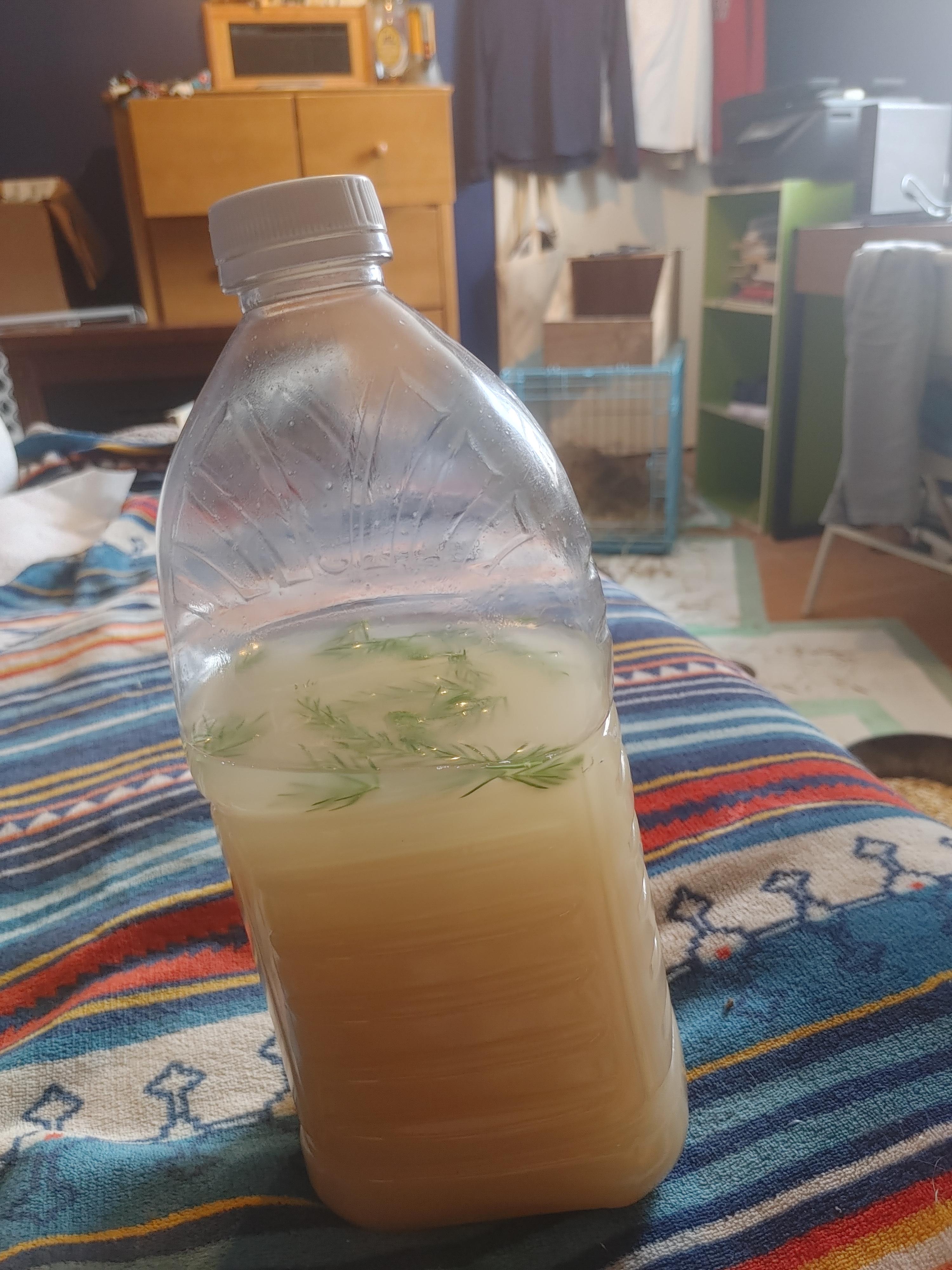 Made corn alcohol r/prisonhooch