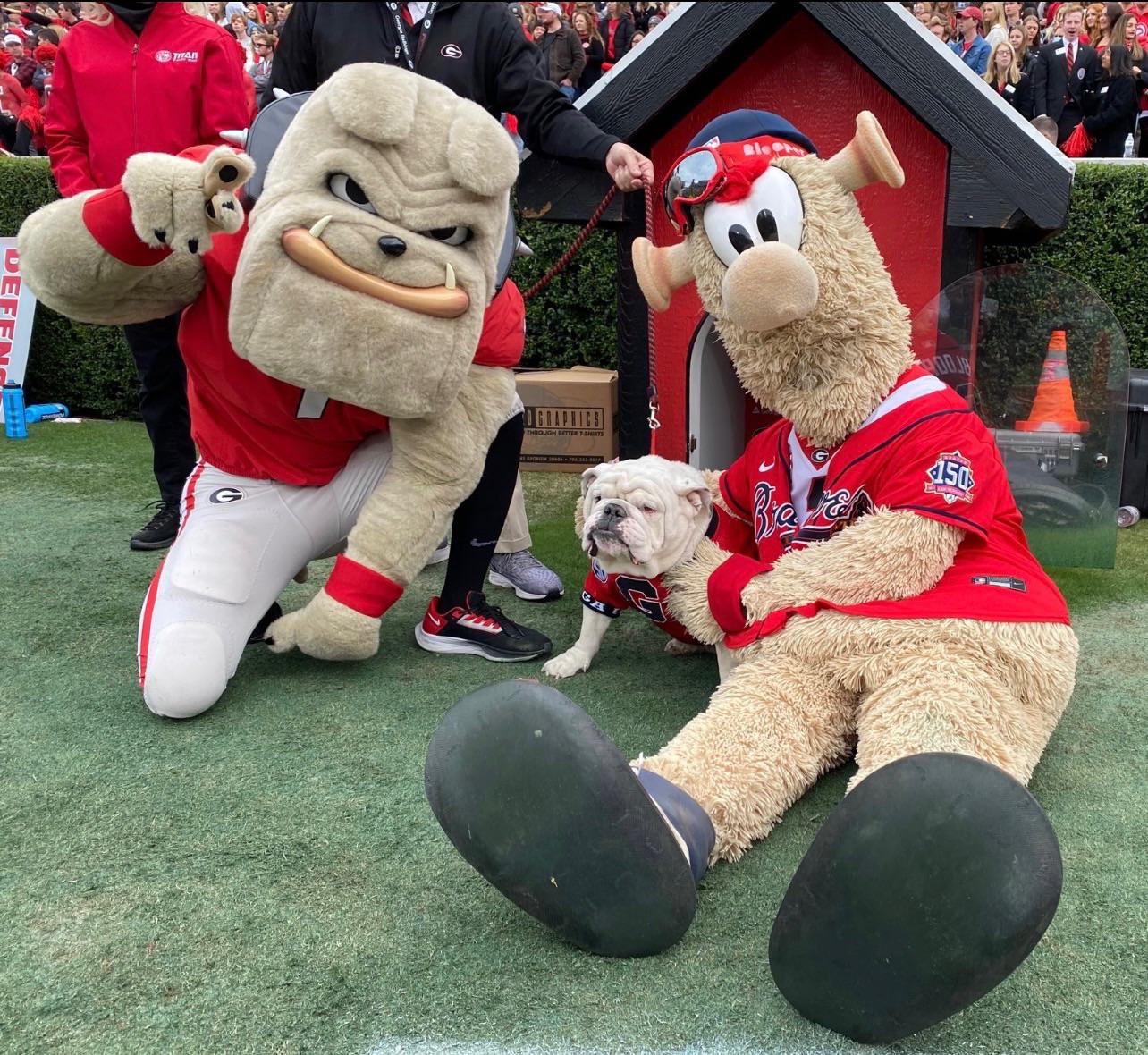 Hairy, Uga, & Blooper