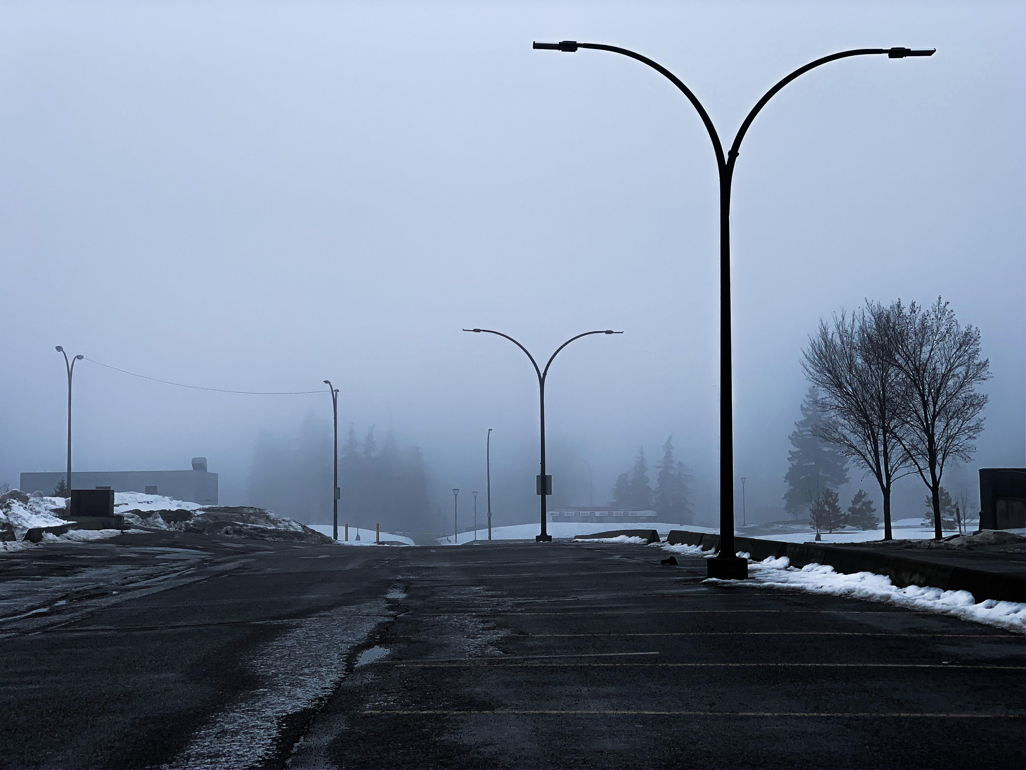 The fog today in Calgary, Alberta r/pics