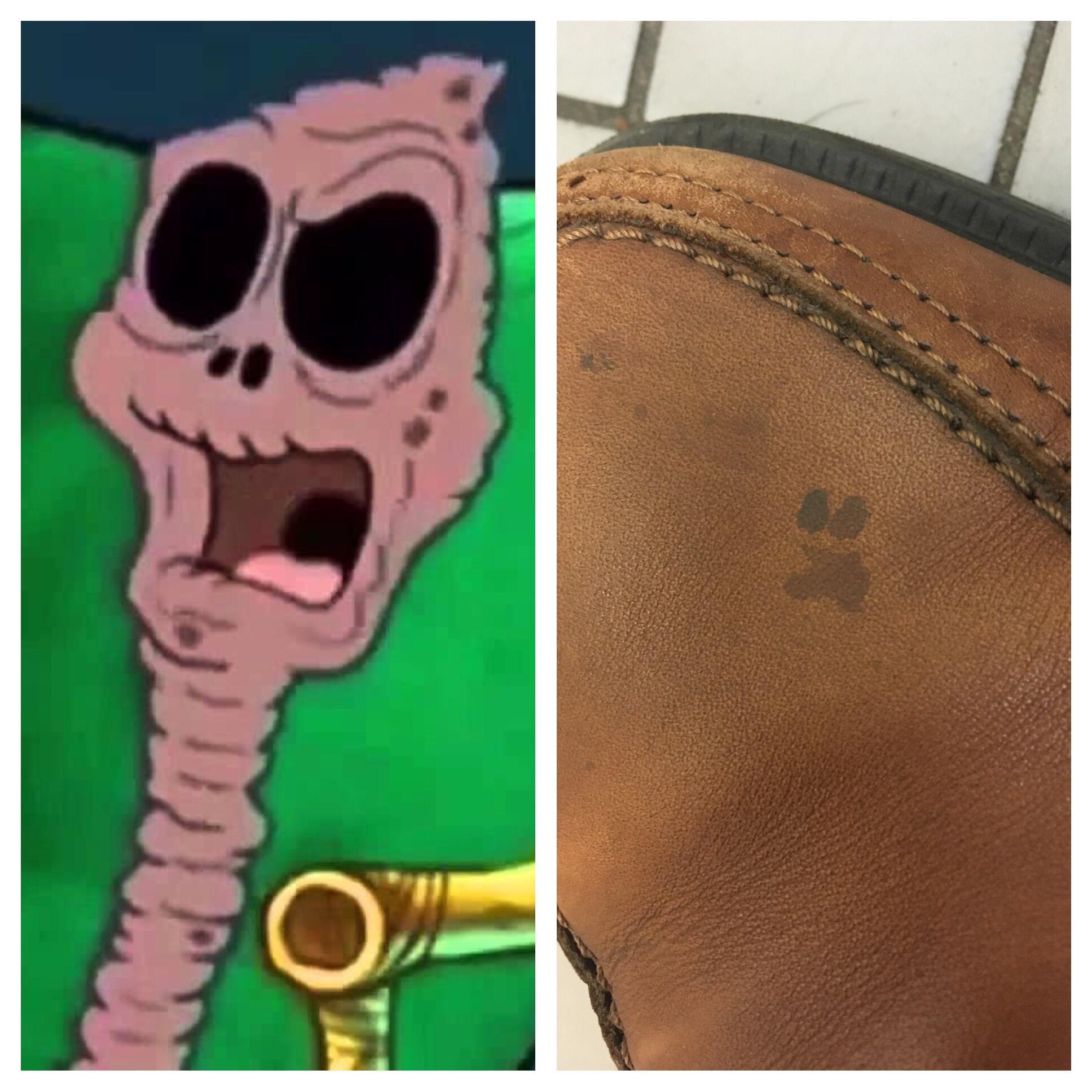 Spongebob Old Lady Chocolate Meme