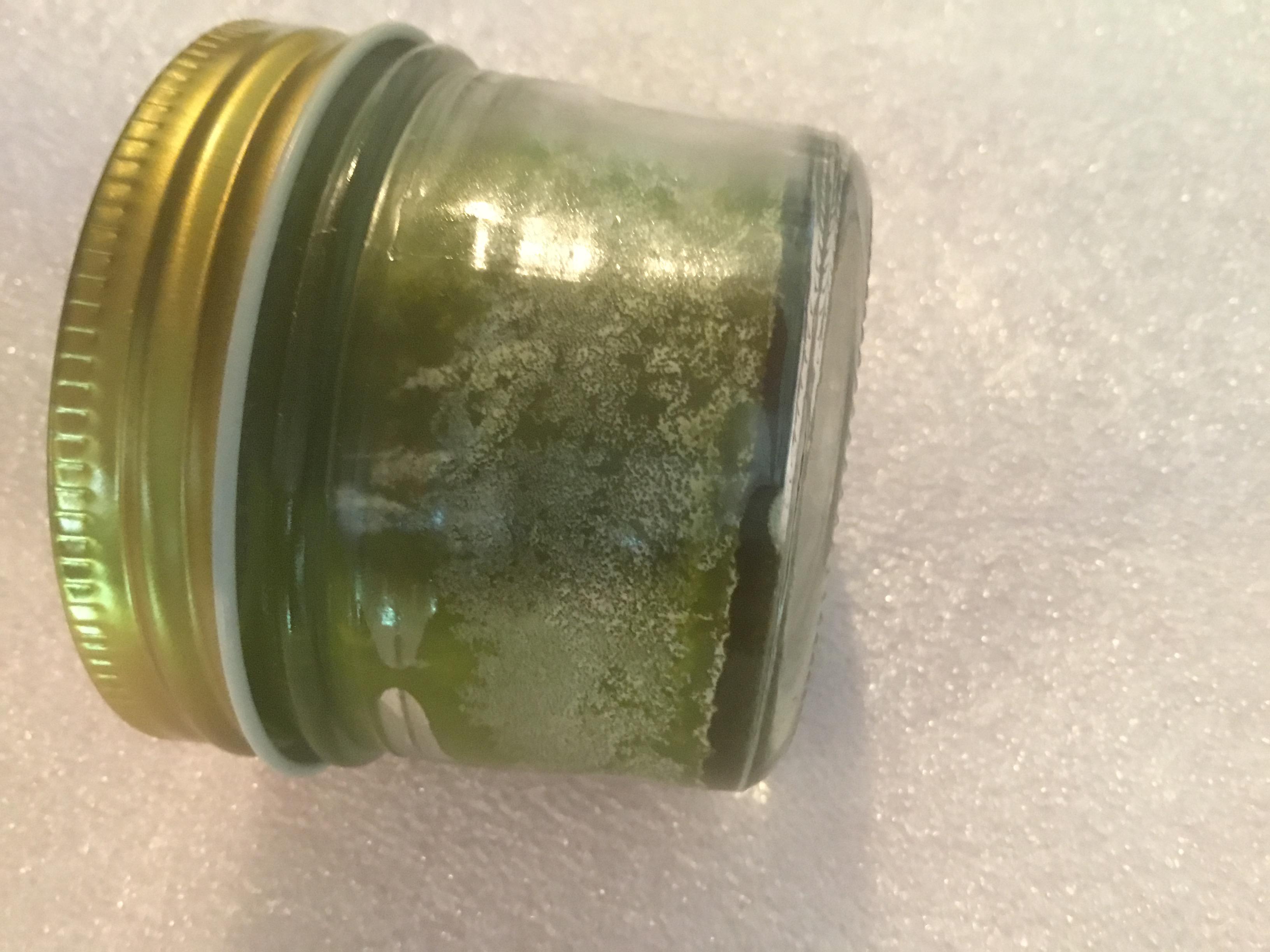 Coconut oil infusion. Is this mold or fat separating? 2 weeks old