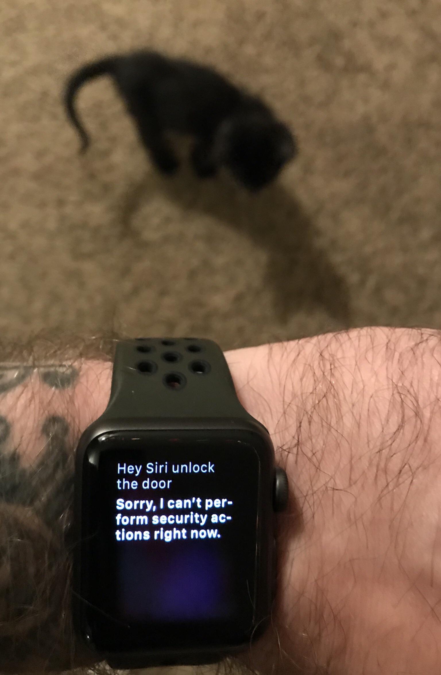 Does anyone know why my Apple Watch won’t unlock the August Smart Lock