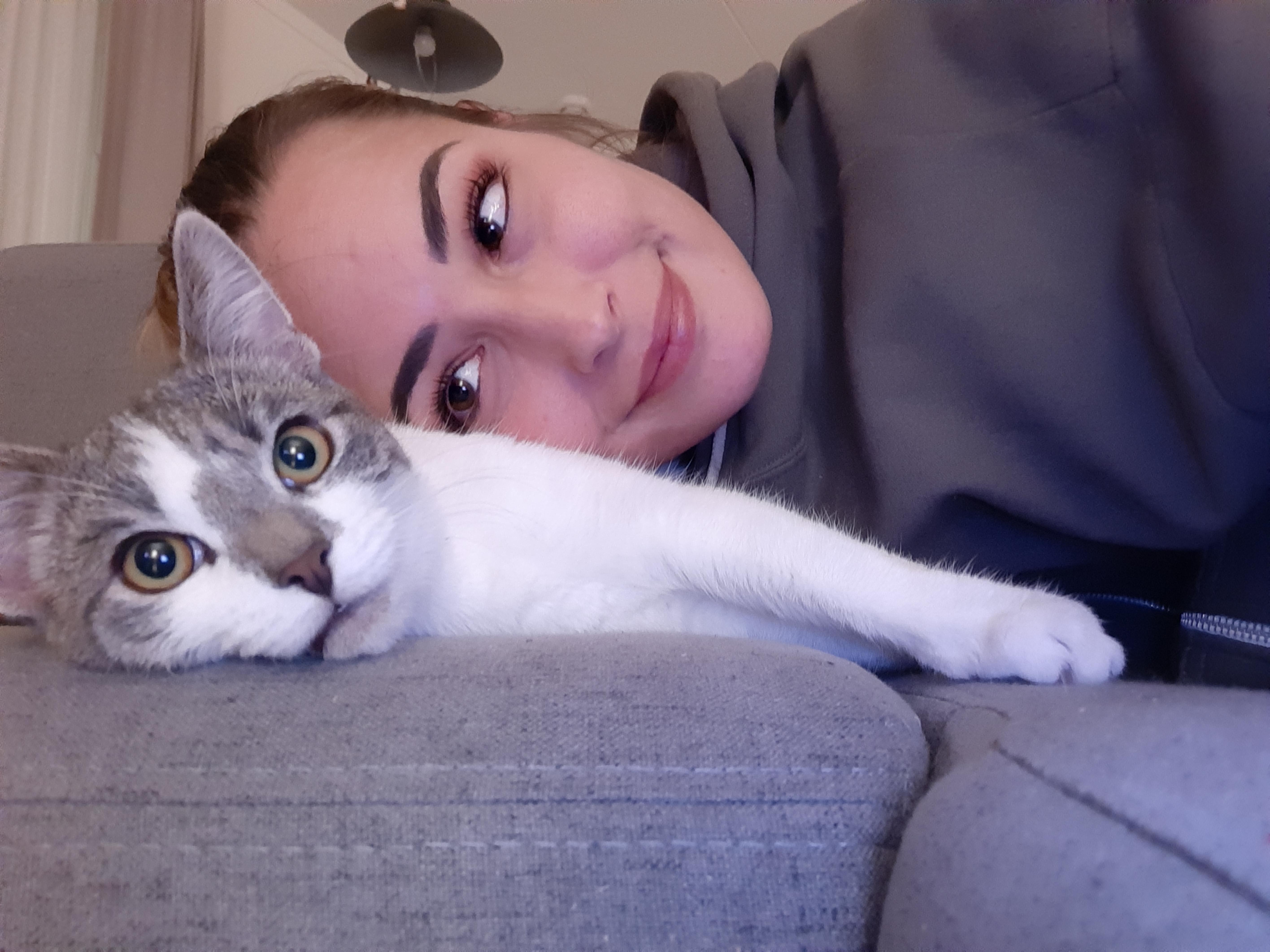 My date tonight ♡ cats