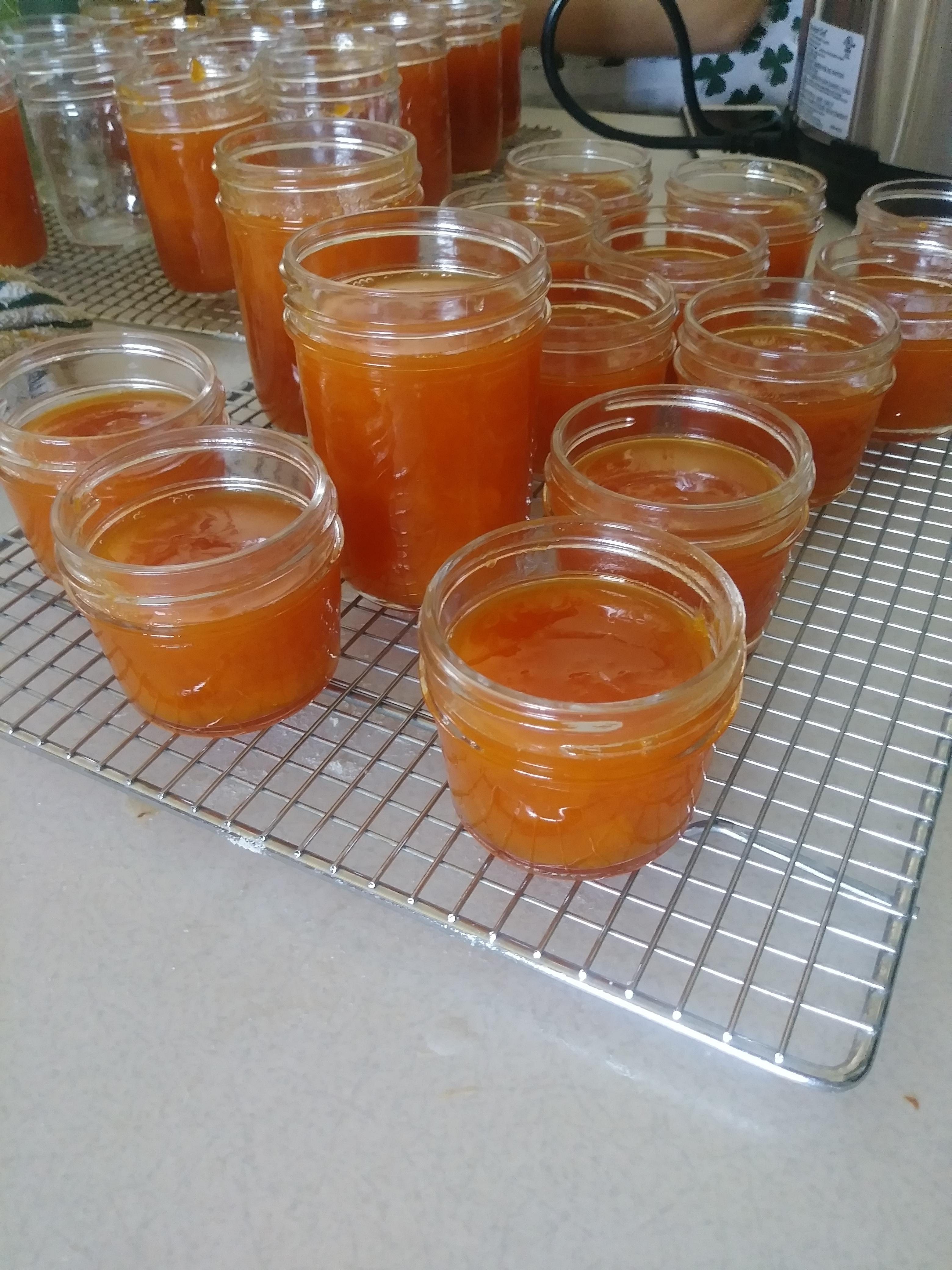 Instant Pot Apricot Freezer Jam! r/instantpot