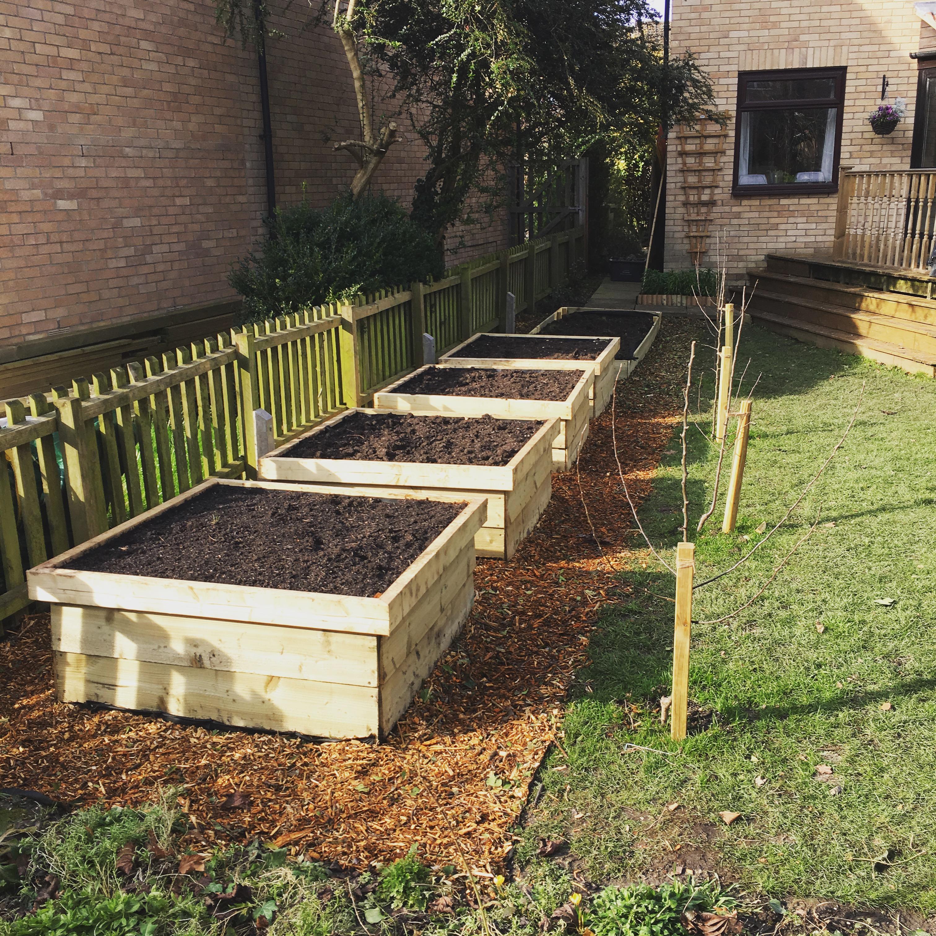 A lot of sawing, digging, and wheelbarrowing later, the raised beds are