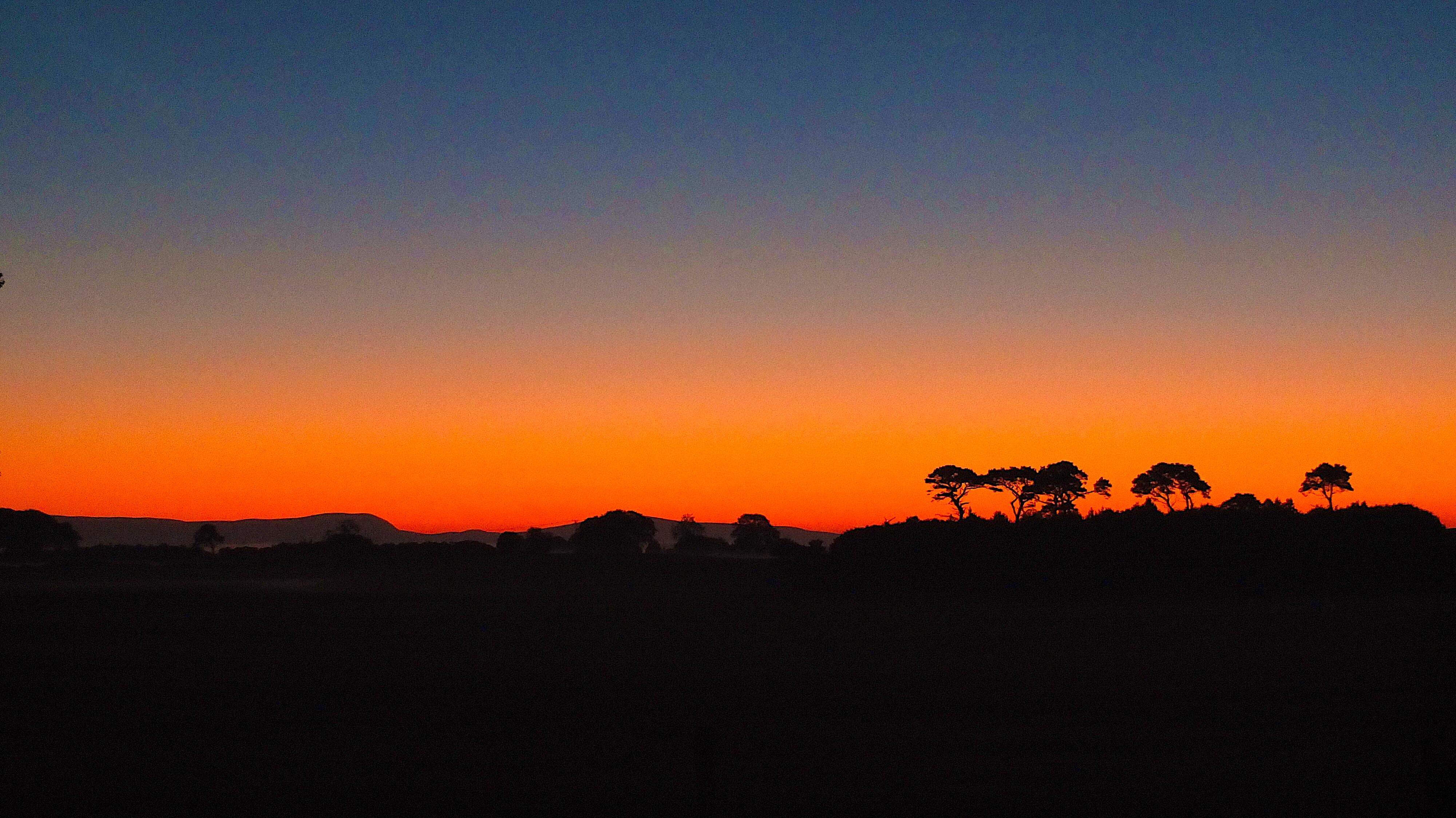 230 AM at my back door in the Highlands of Scotland. The longest day