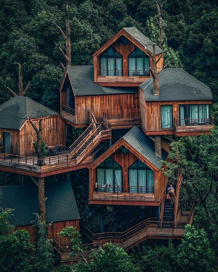 Modern treehouse cabin in Hangzhou, China r/CabinPorn