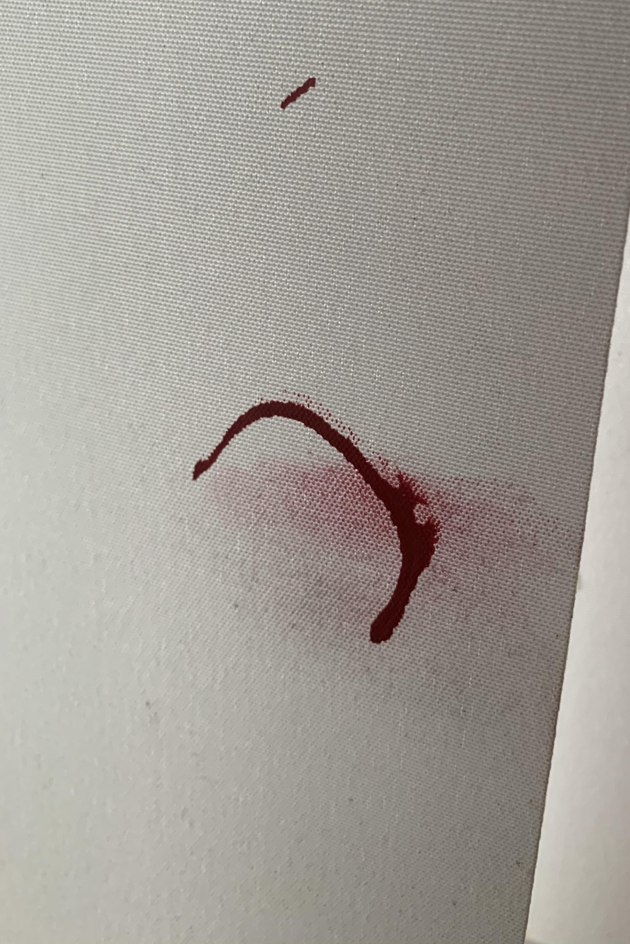 And tips on getting paint off blinds ? Thank you. r/howto